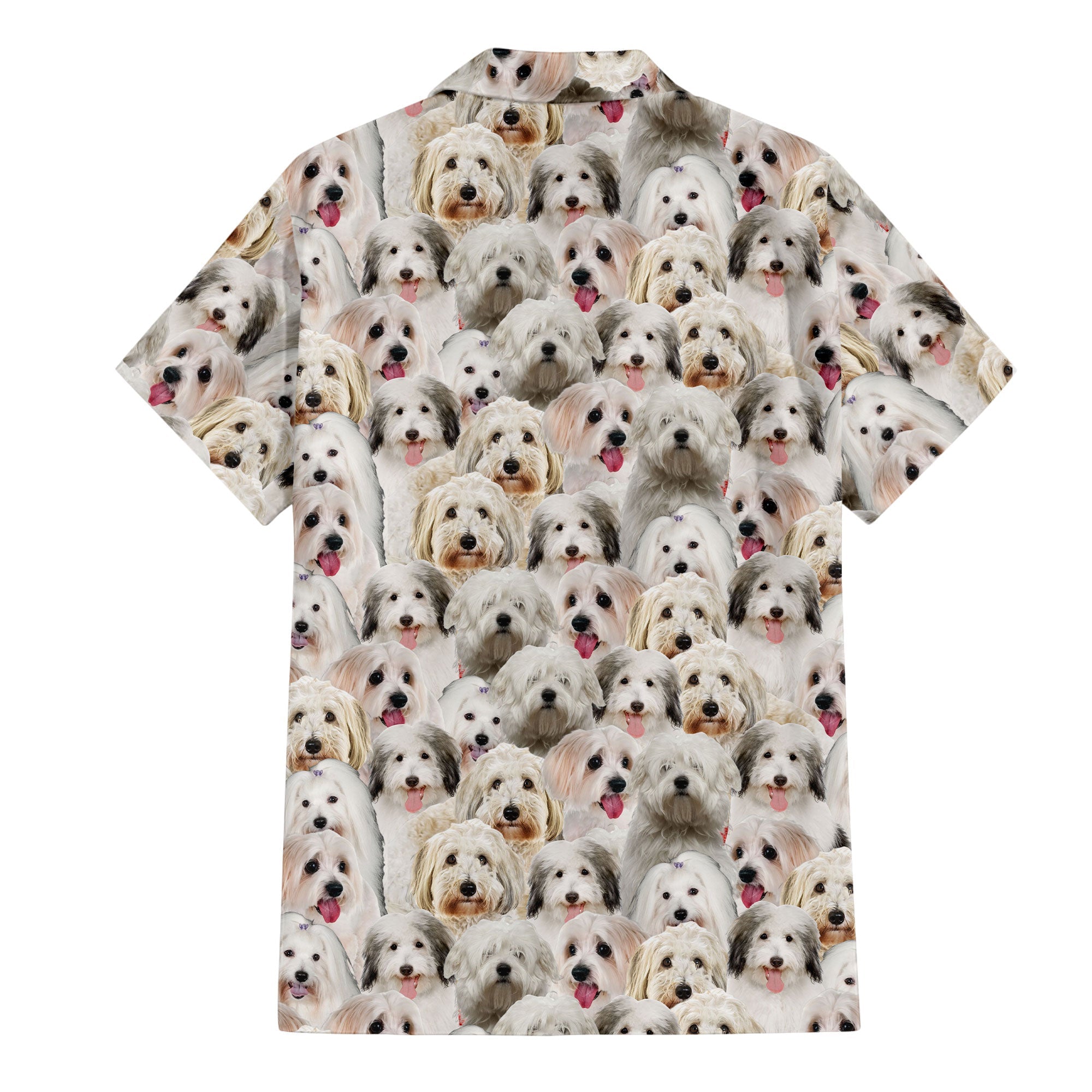 Coton De Tulear Full Face Hawaiian Shirt & Short