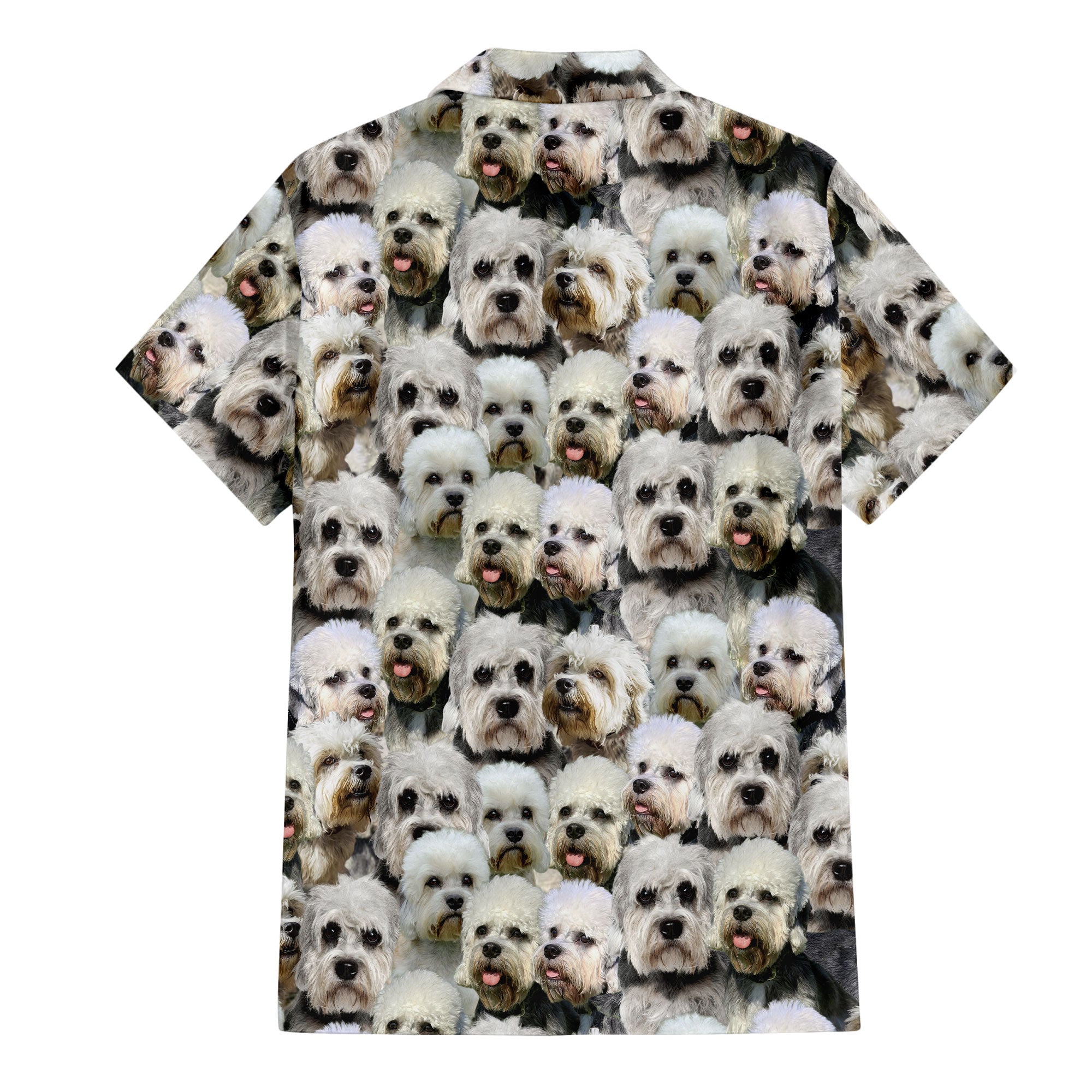 Dandie Dinmont Terrier Full Face Hawaiian Shirt & Short