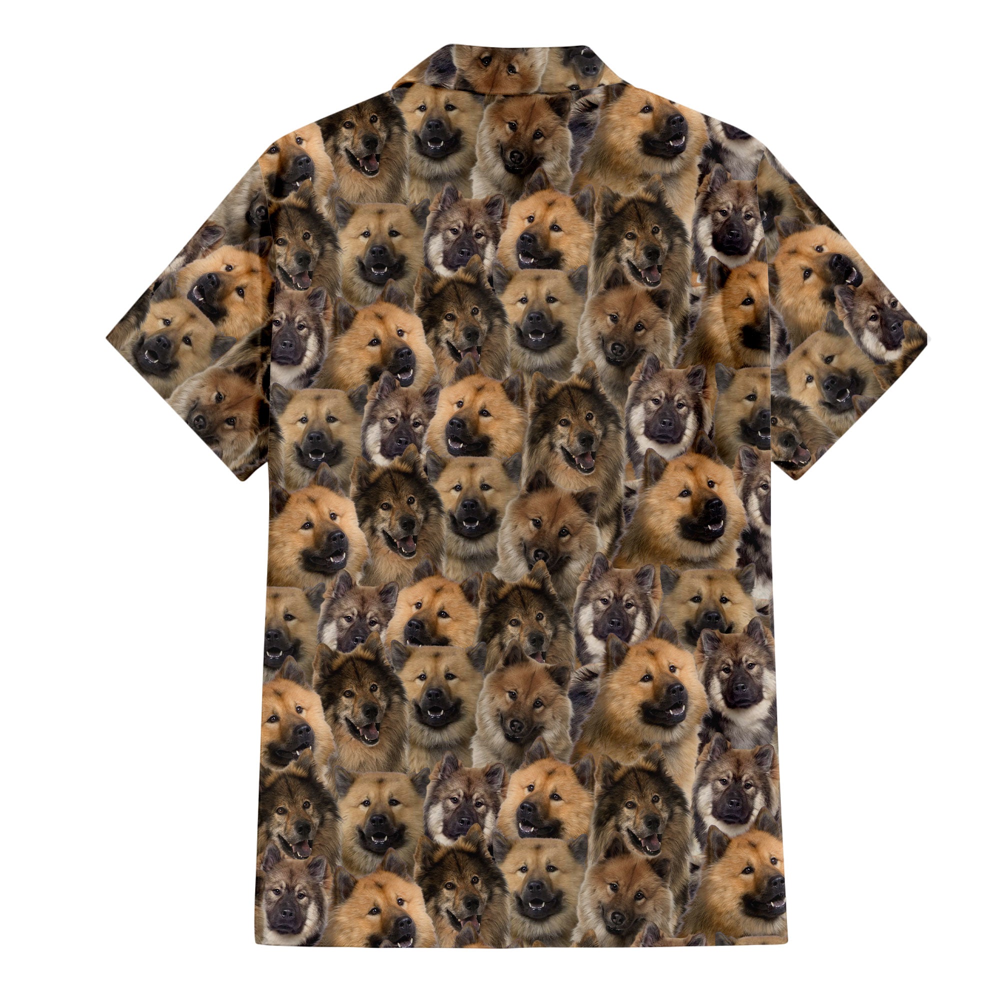 Eurazier Full Face Hawaiian Shirt & Short