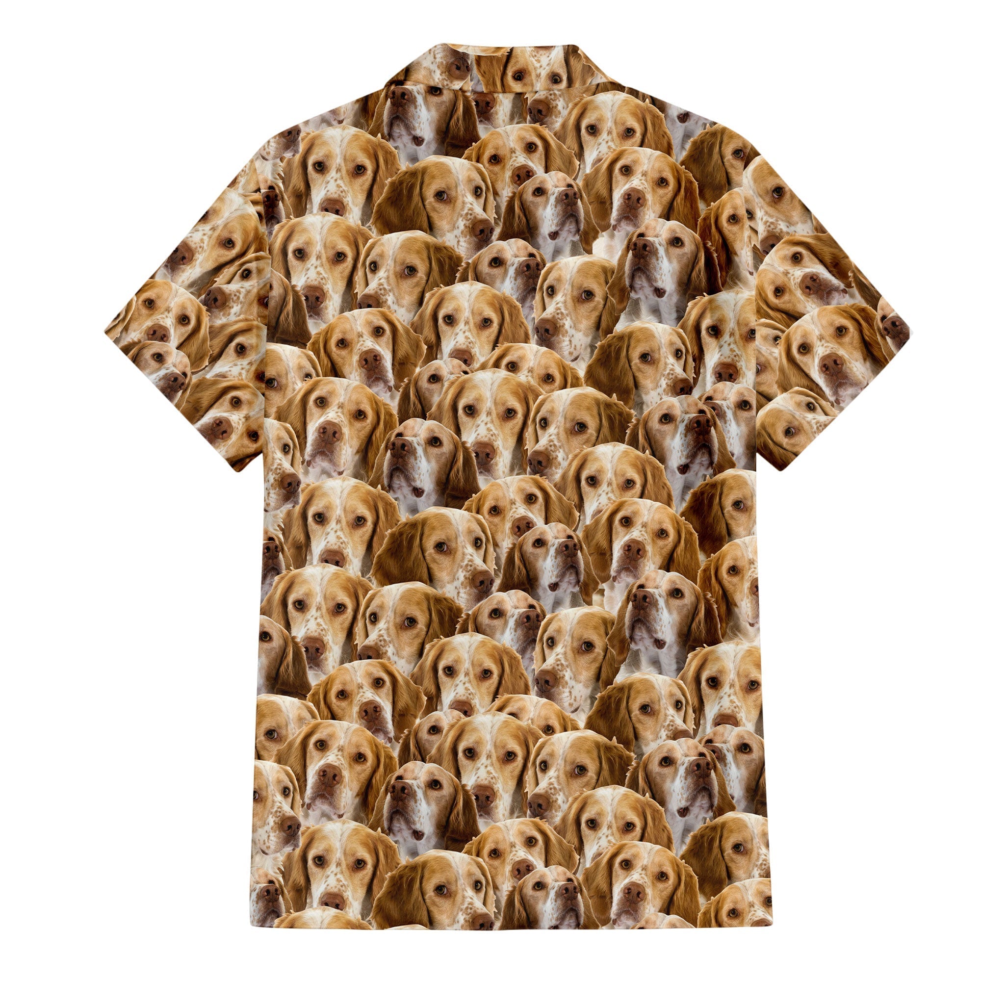 French Spaniel Full Face Hawaiian Shirt & Short