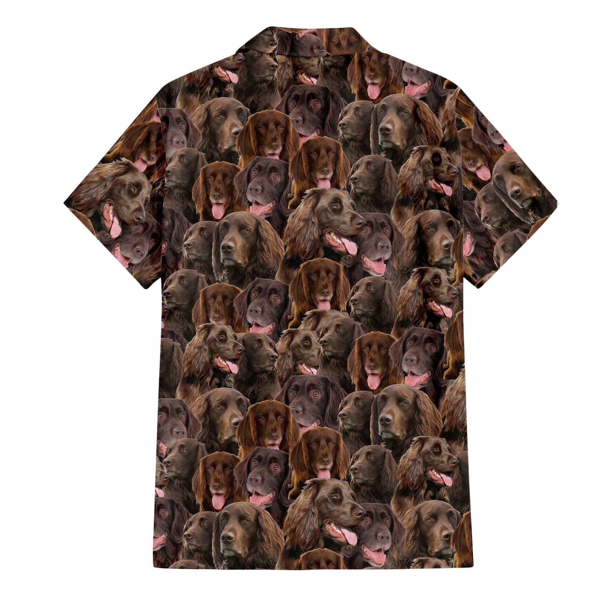 German Longhaired Pointer Full Face Hawaiian Shirt & Short