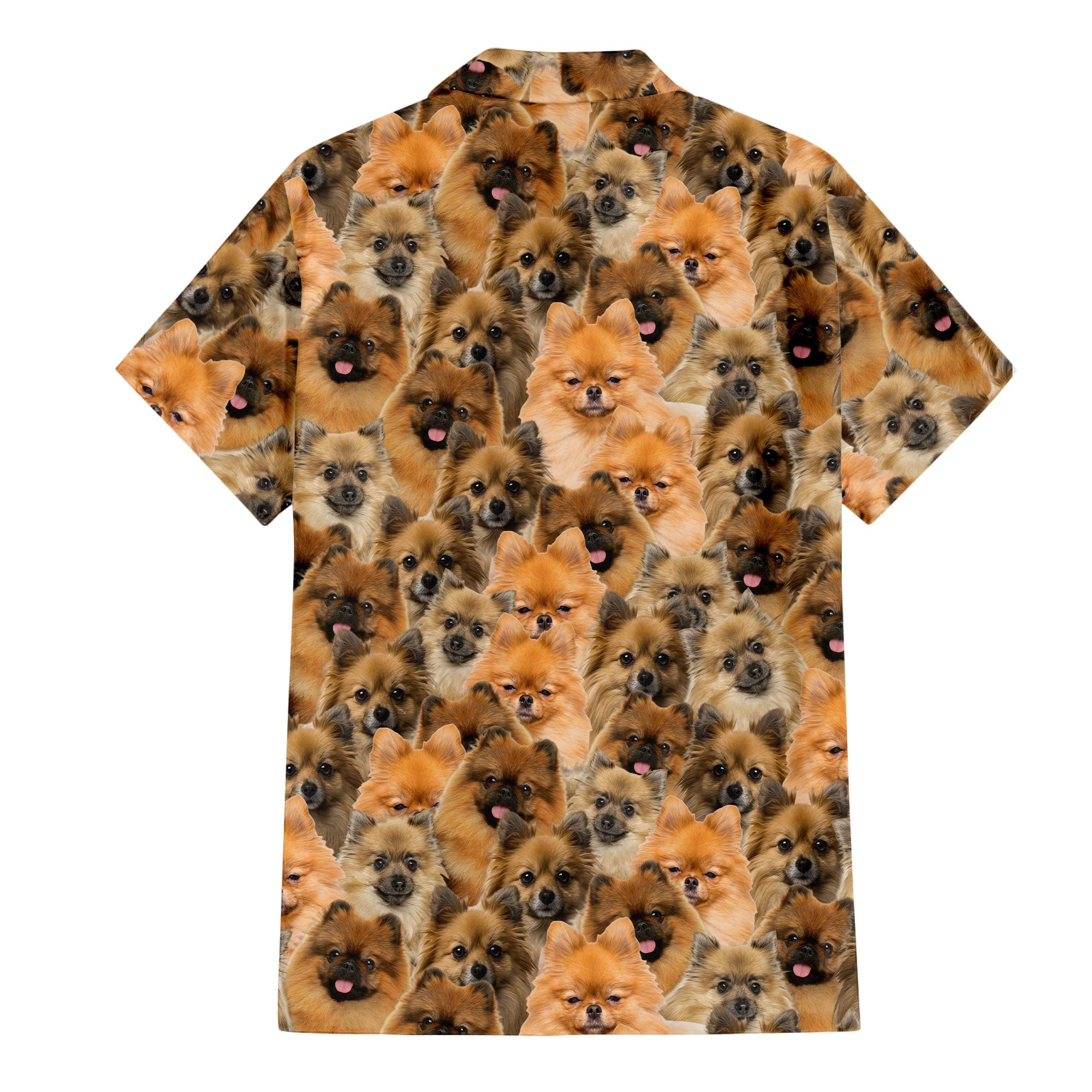 German Spitz Full Face Hawaiian Shirt & Short