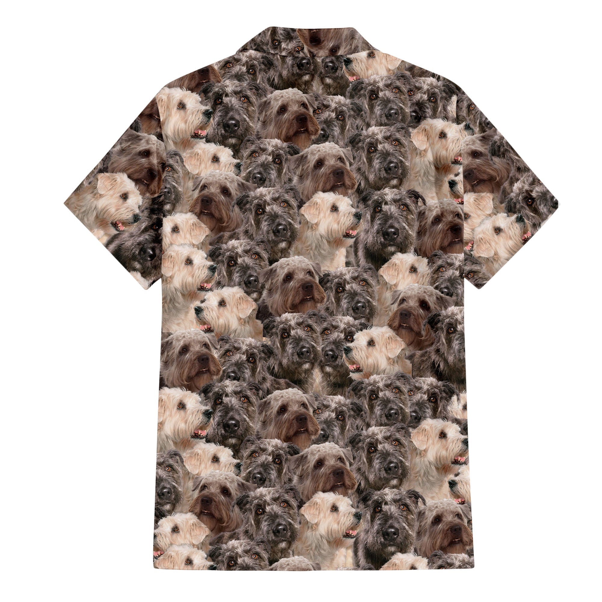 Glen Of Imaal Terrier Full Face Hawaiian Shirt & Short