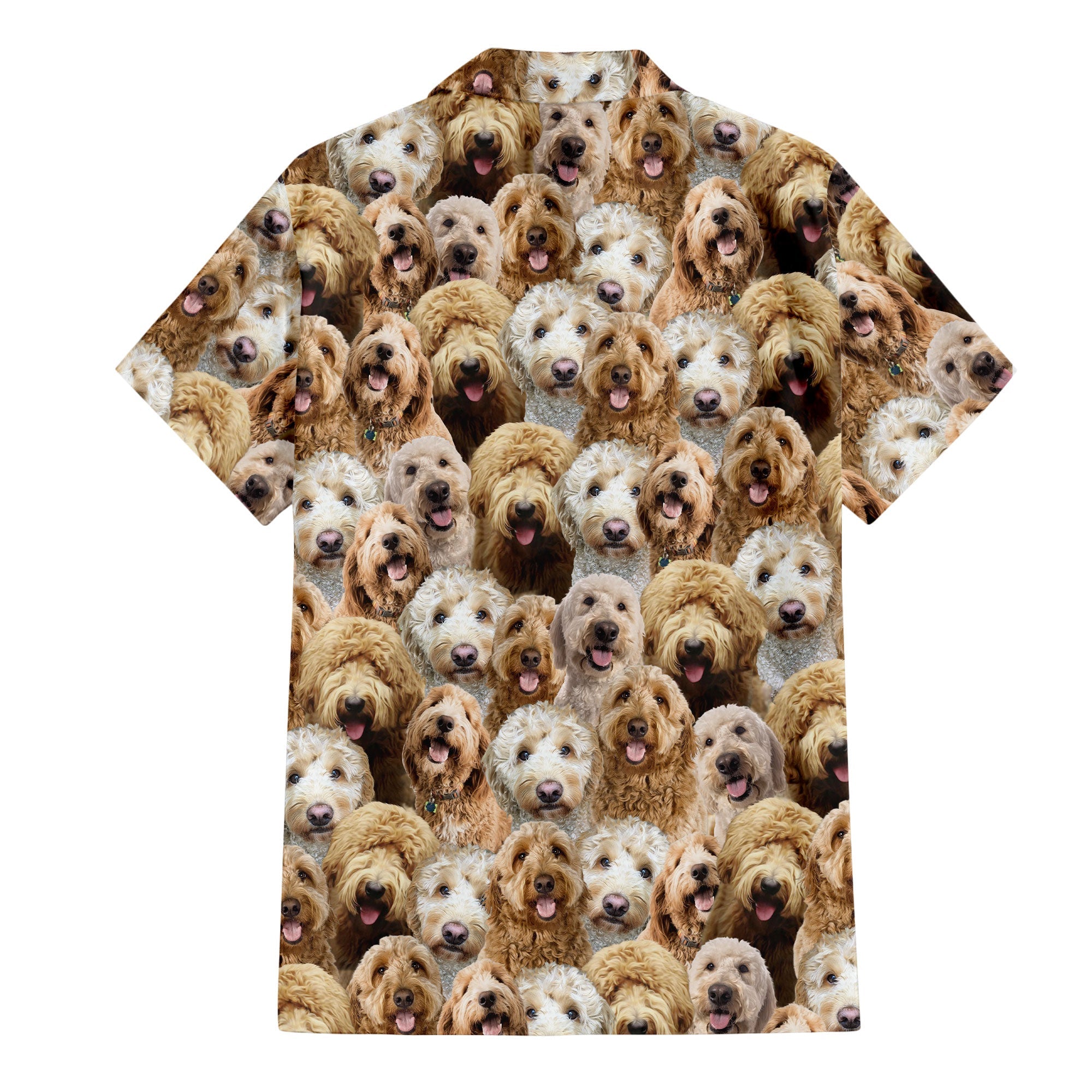 Goldendoodle Full Face Hawaiian Shirt & Short
