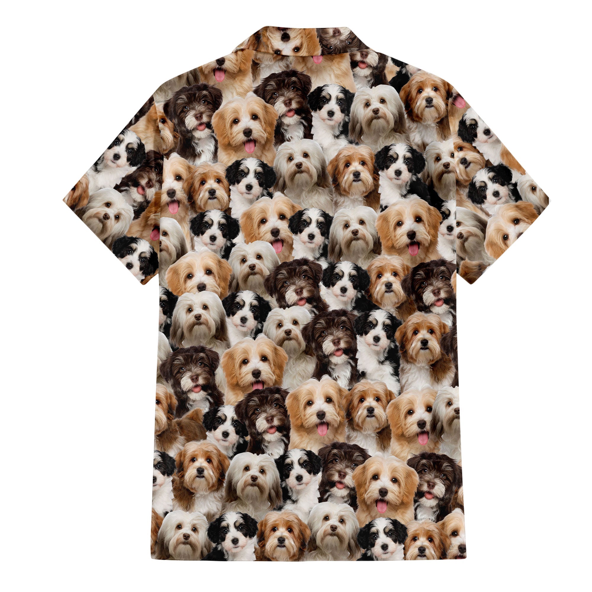 Havanese Full Face Hawaiian Shirt & Short
