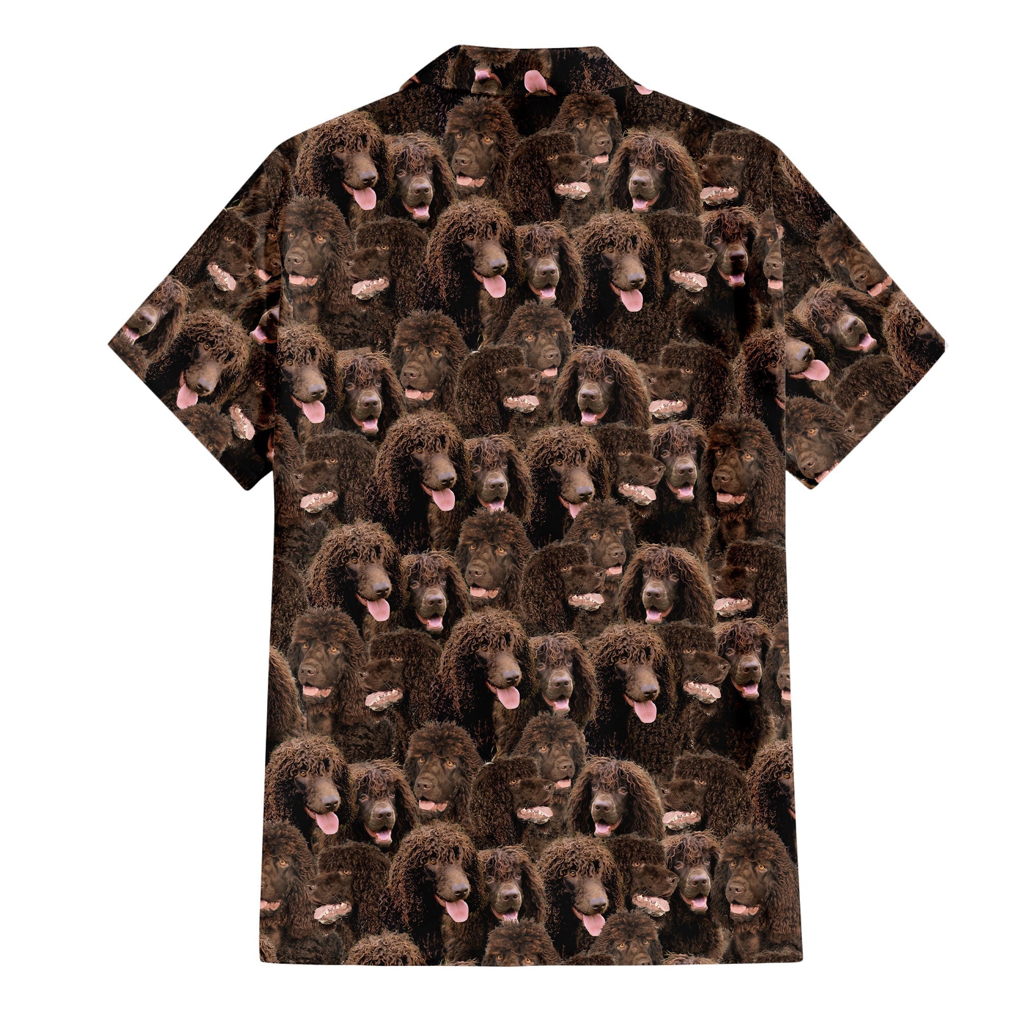 Irish Water Spaniel Full Face Hawaiian Shirt & Short