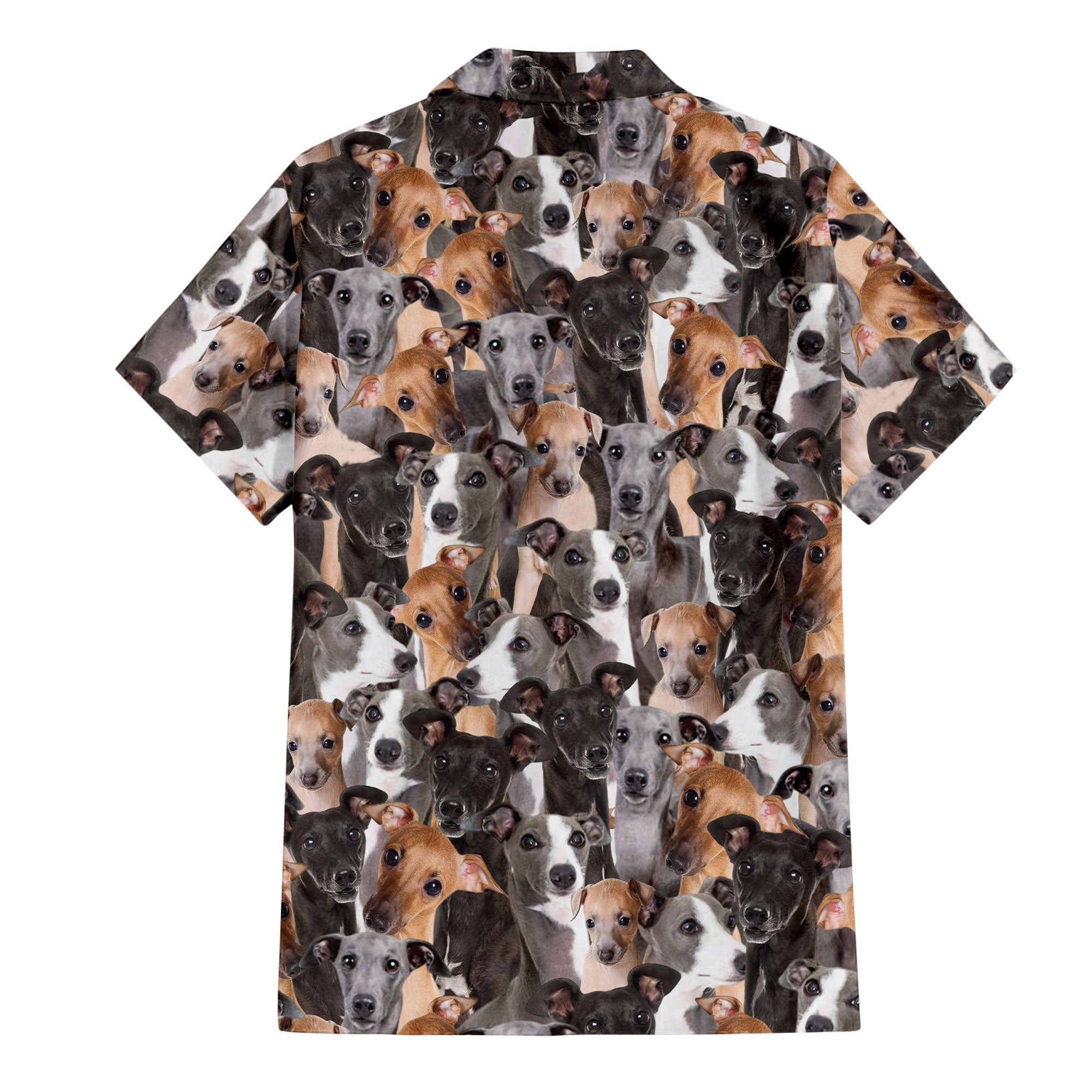 Italian Greyhound Full Face Hawaiian Shirt & Short