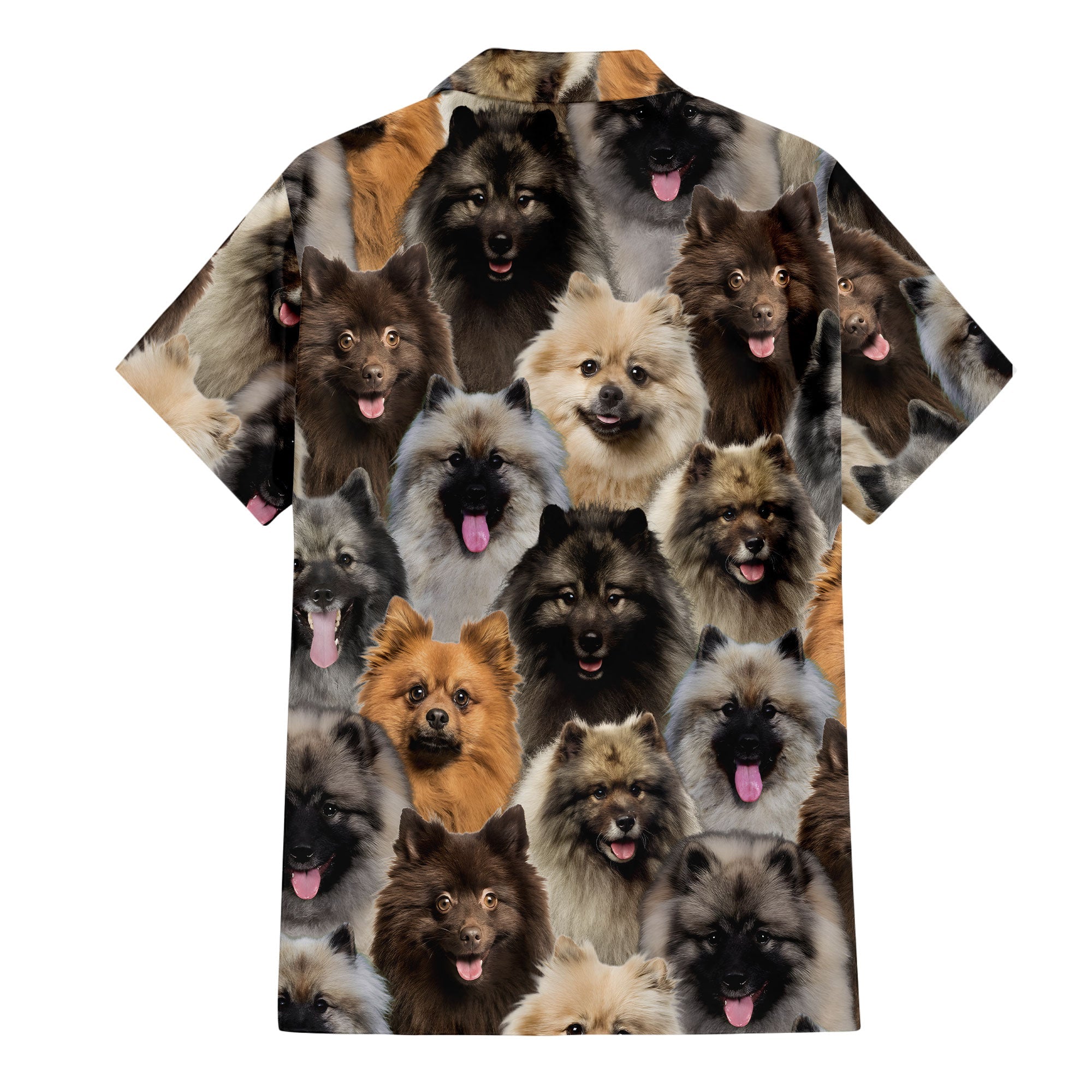 Keeshond 2 Full Face Hawaiian Shirt & Short