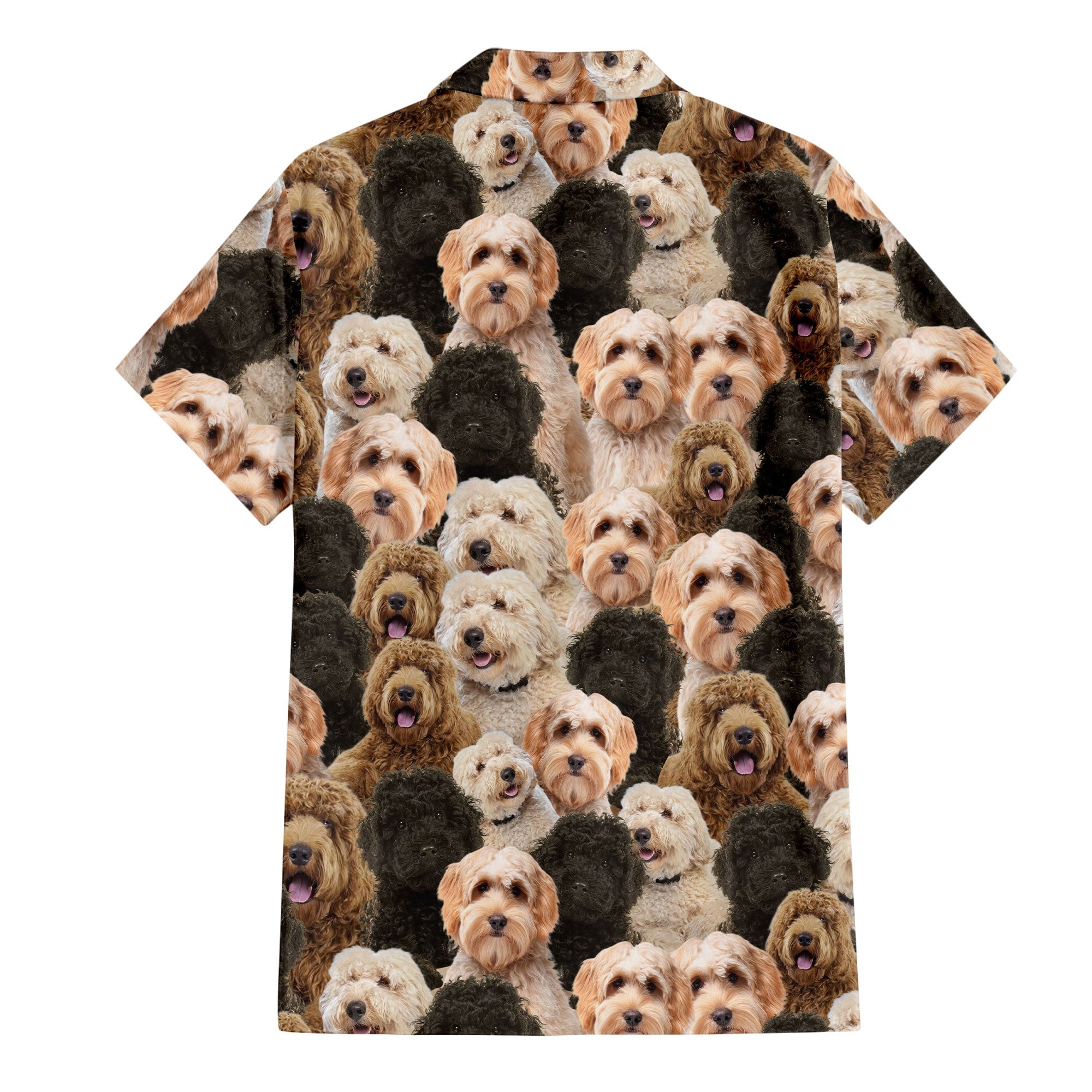 Labradoodle Full Face Hawaiian Shirt & Short