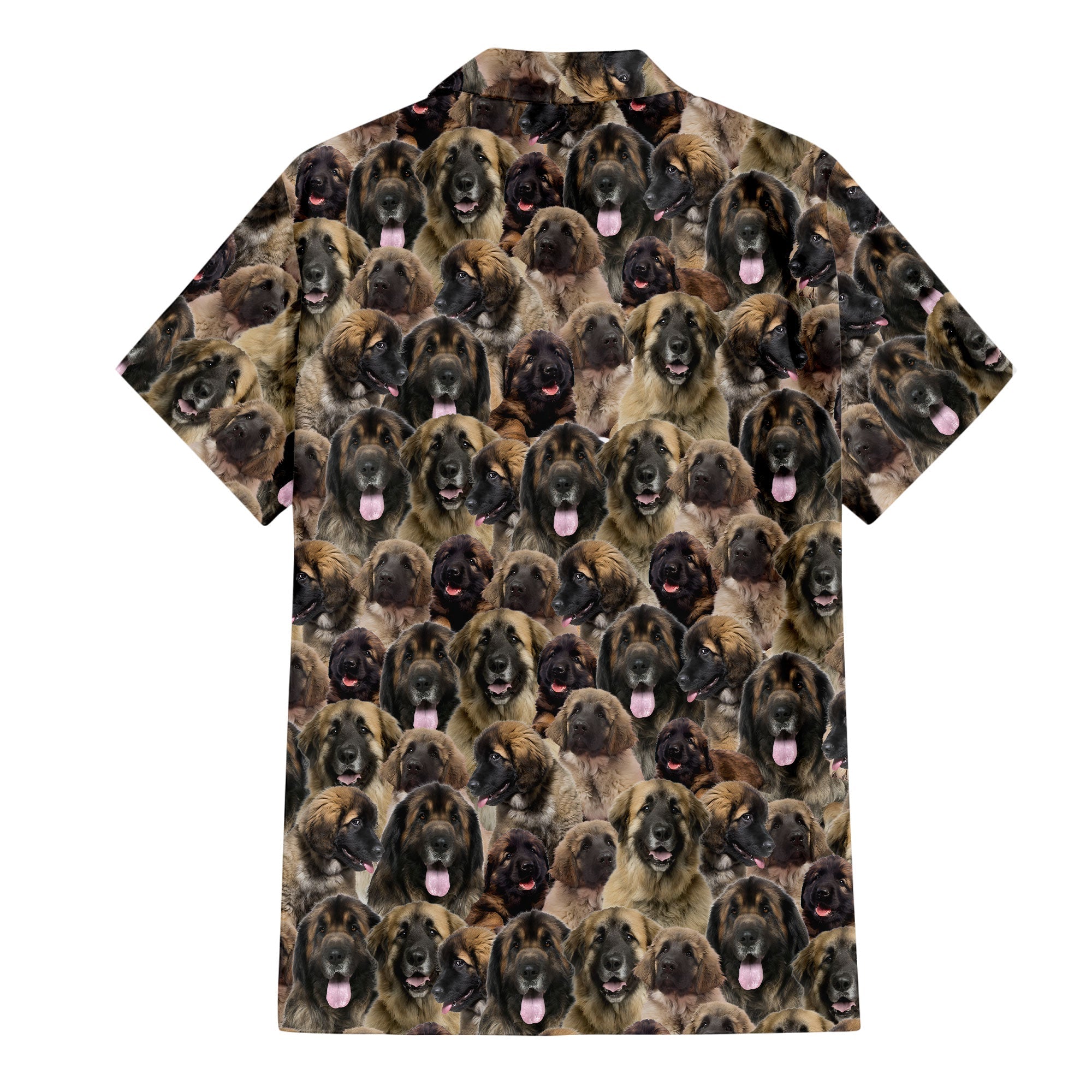 Leonberger Full Face Hawaiian Shirt & Short