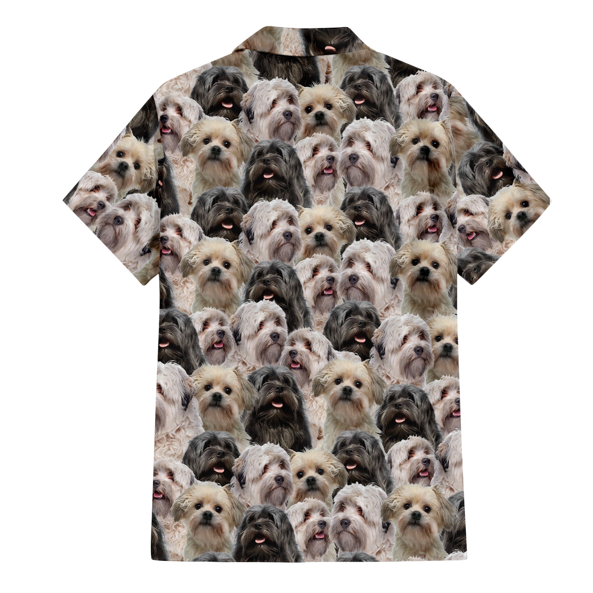 Lowchen Full Face Hawaiian Shirt & Short