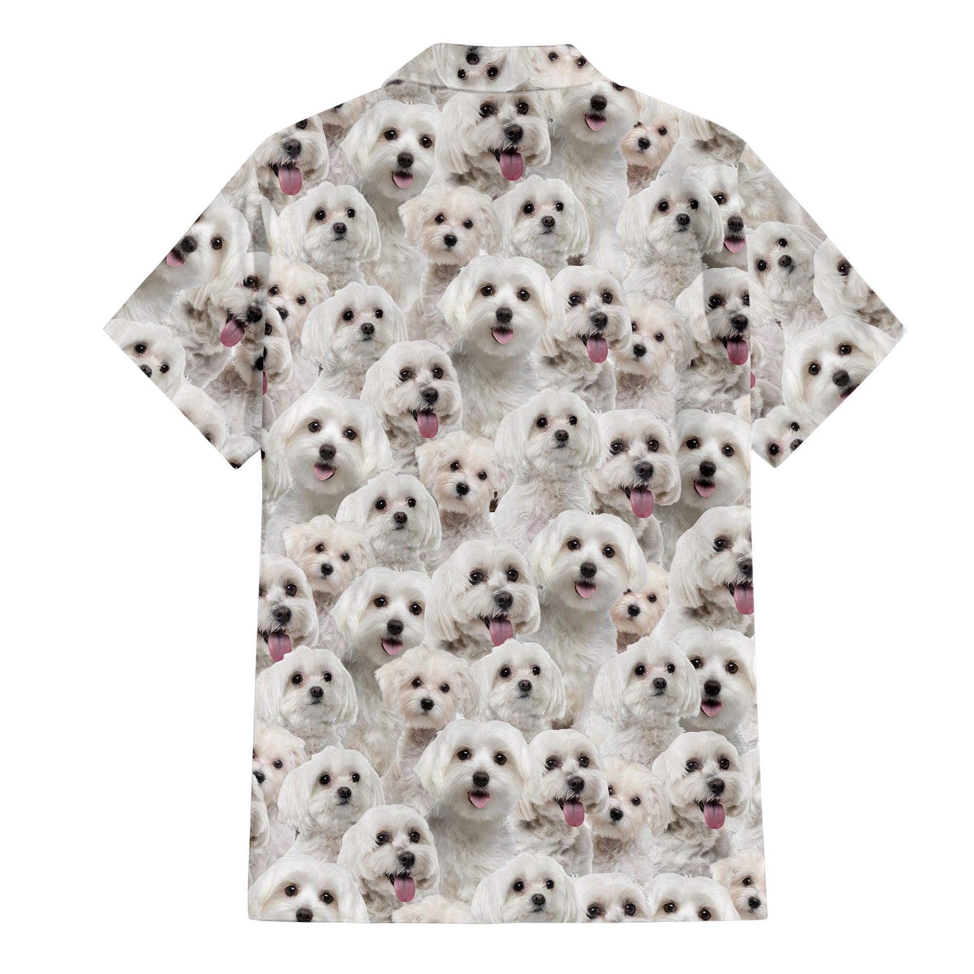 Maltese Full Face Hawaiian Shirt & Short