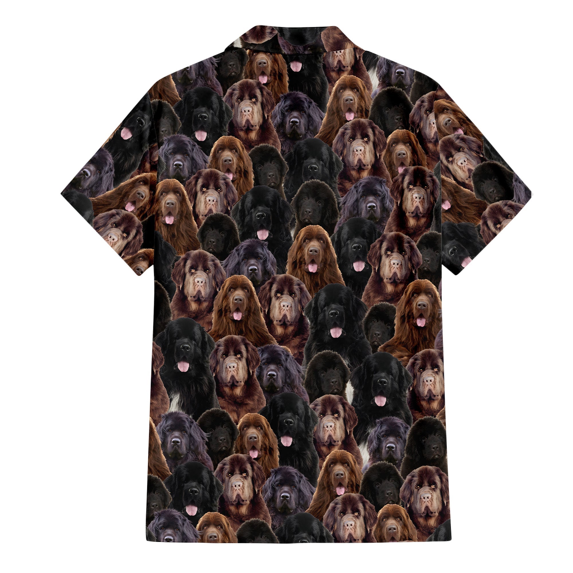 Newfoundland Full Face Hawaiian Shirt & Short