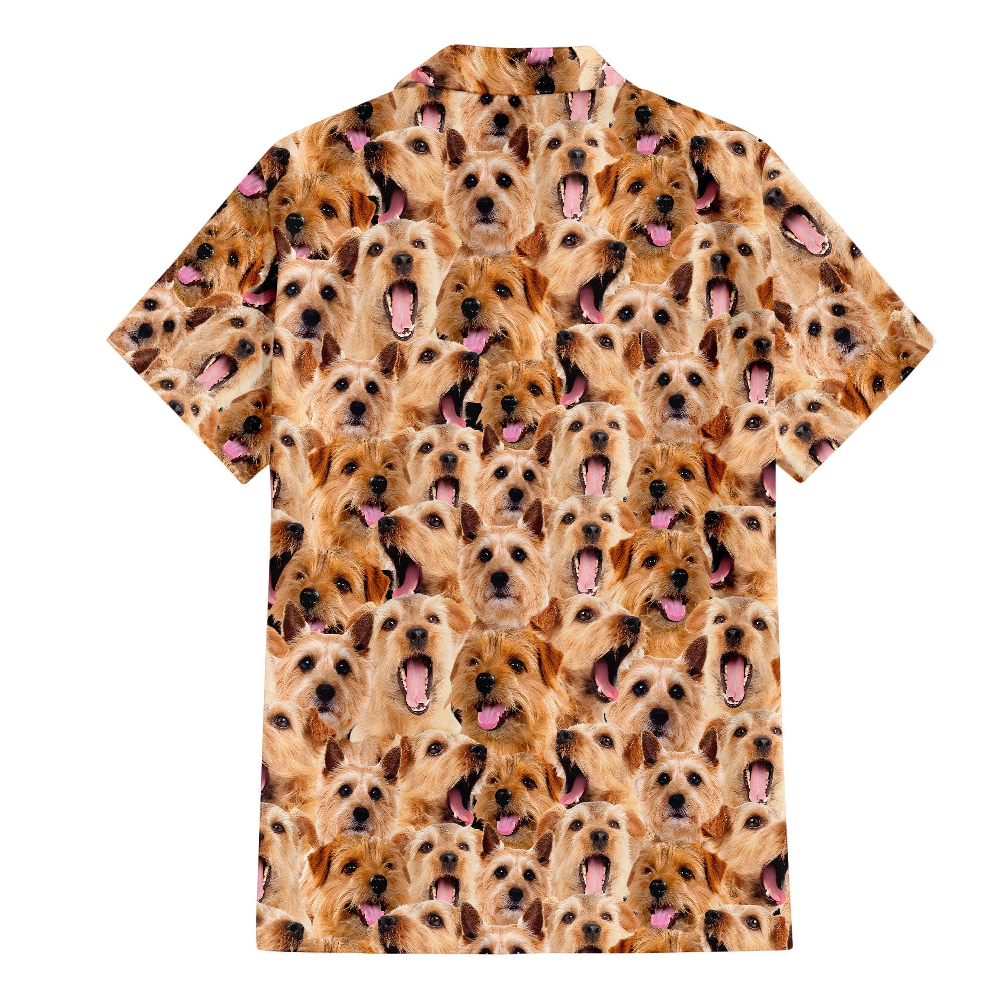 Norfolk Terrier Full Face Hawaiian Shirt & Short