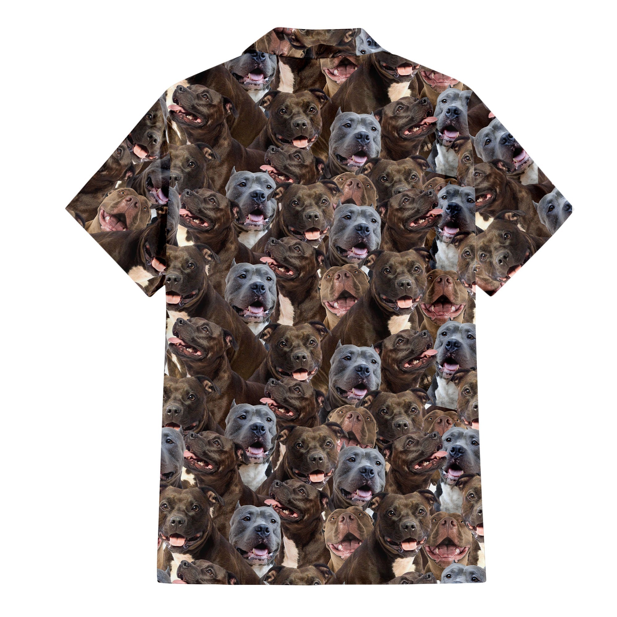 Pitbull Full Face Hawaiian Shirt & Short