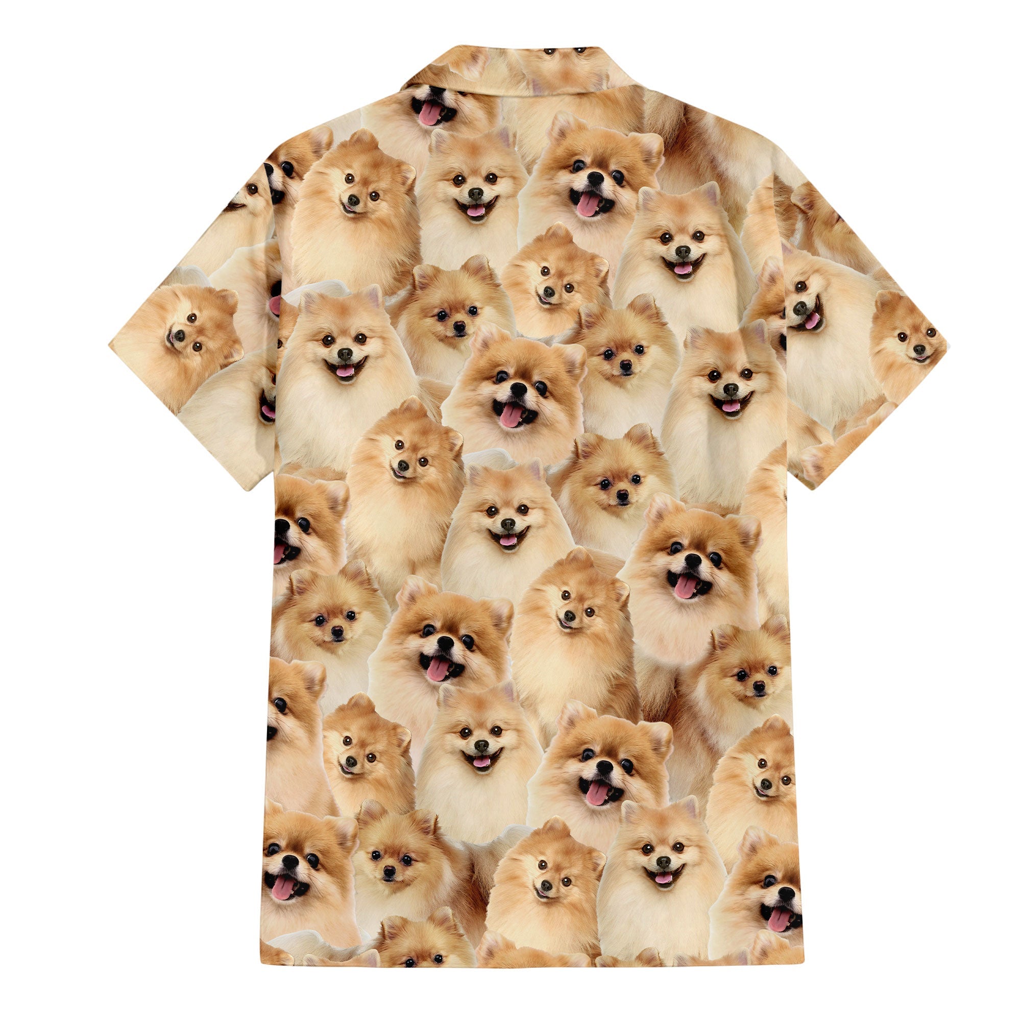 Pomeranian Full Face Hawaiian Shirt & Short