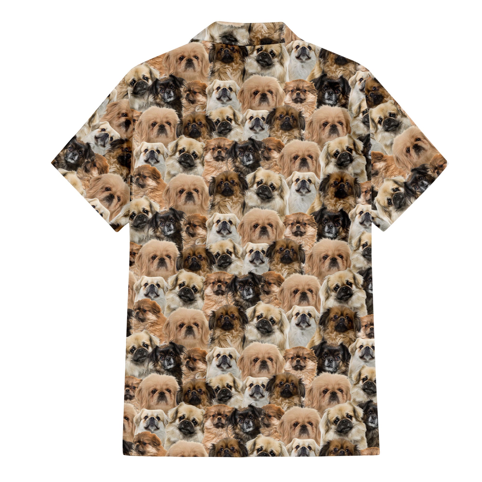 Tibetan Spaniel Full Face Hawaiian Shirt & Short