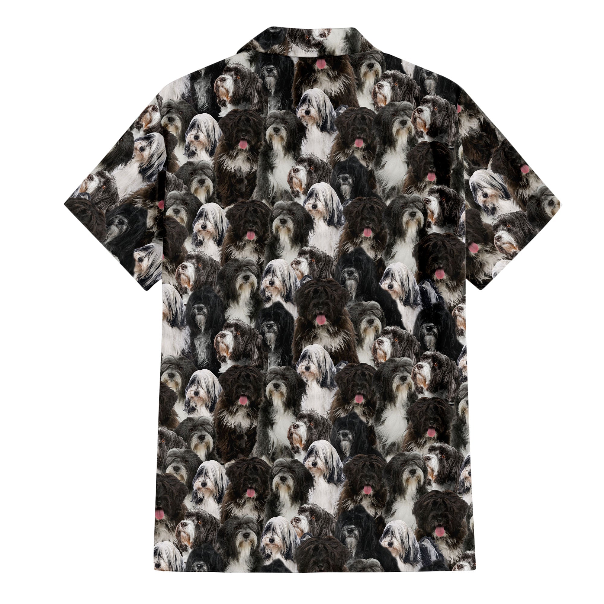 Tibetan Terrier Full Face Hawaiian Shirt & Short