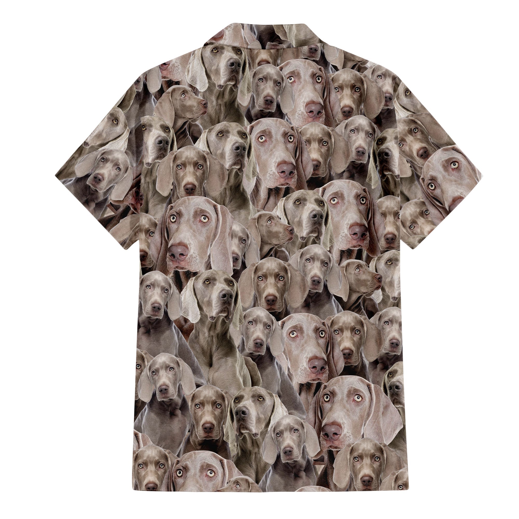 Weimaraner Full Face Hawaiian Shirt & Short