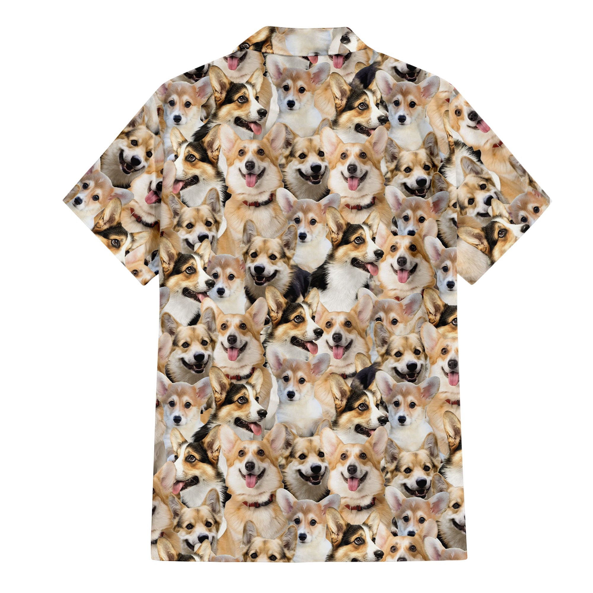 Welsh Corgi Full Face Hawaiian Shirt & Short