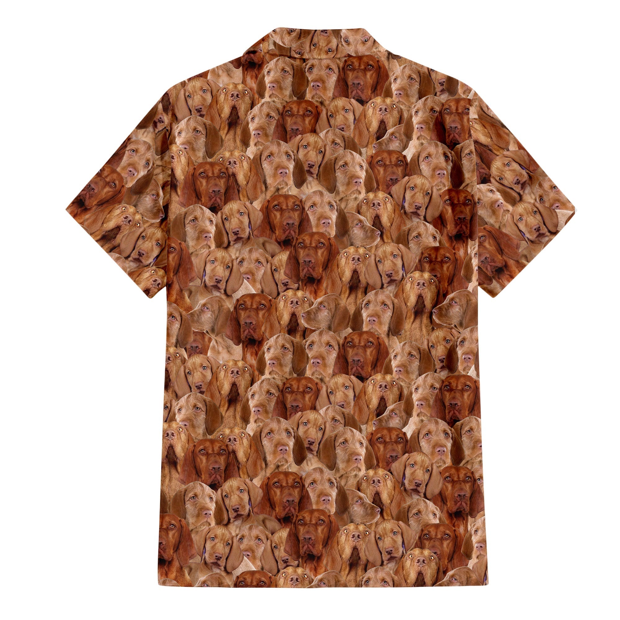 Wirehaired Vizsla Full Face Hawaiian Shirt & Short