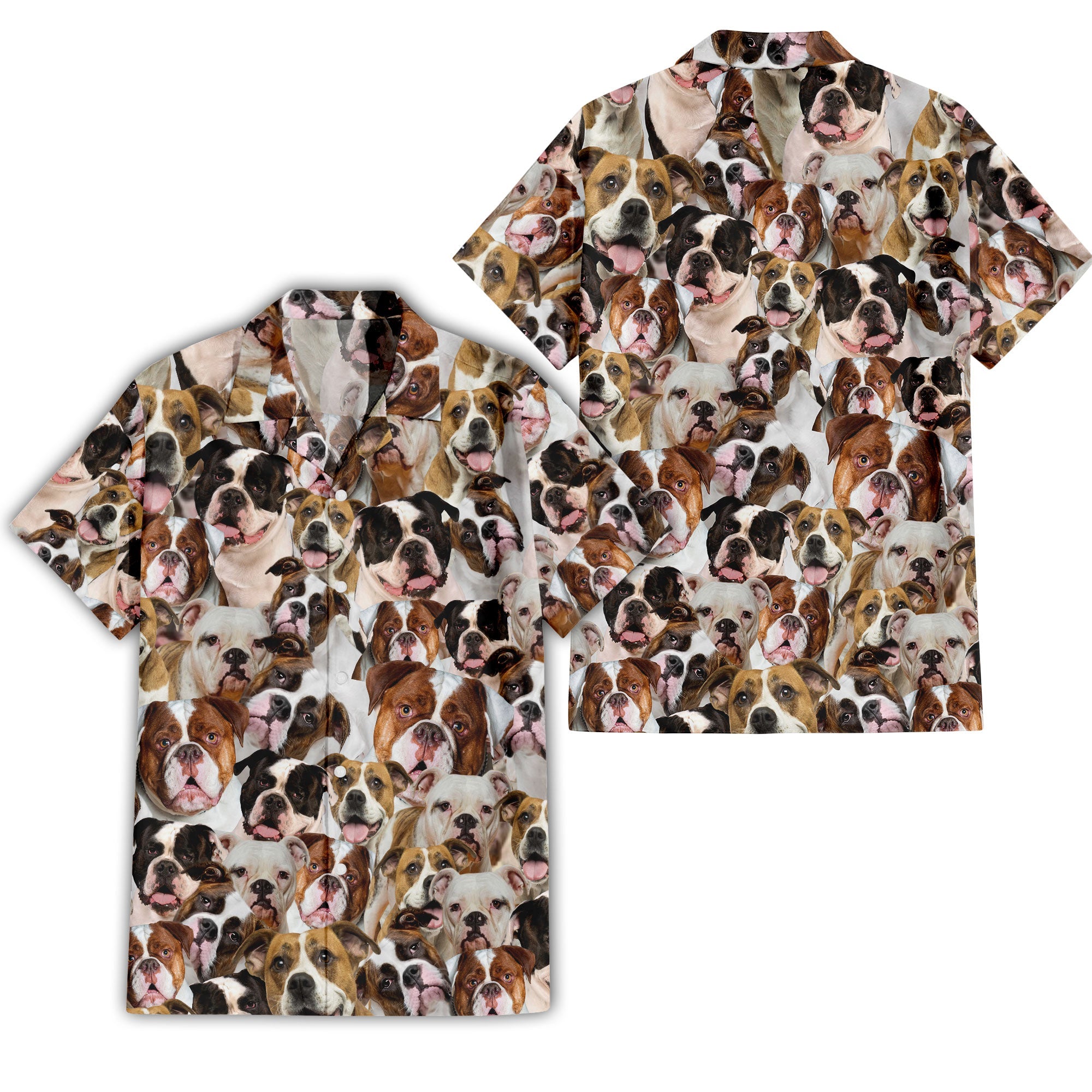 American Bulldog 1 Full Face Hawaiian Shirt & Short