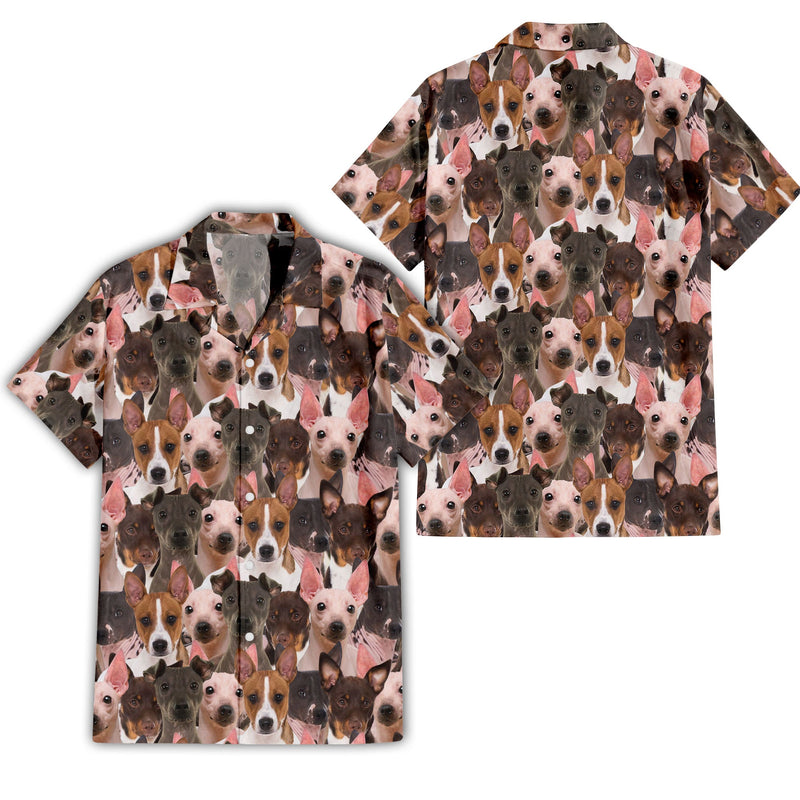 American Hairless Terrier Full Face Hawaiian Shirt & Short
