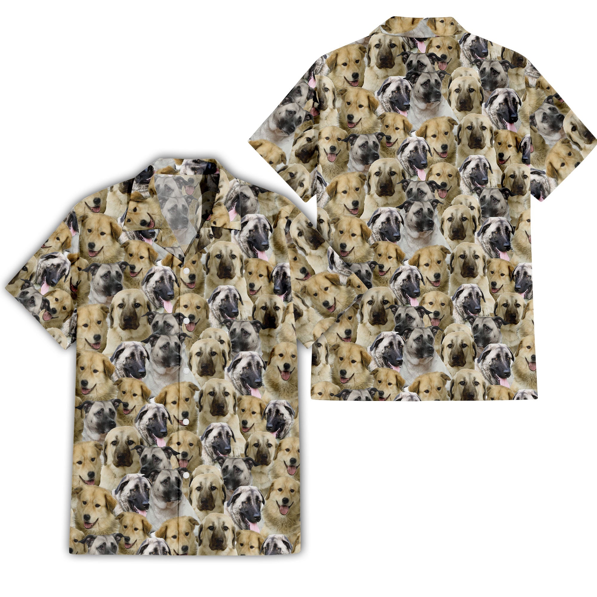 Anatolian Shepherd Full Face Hawaiian Shirt & Short