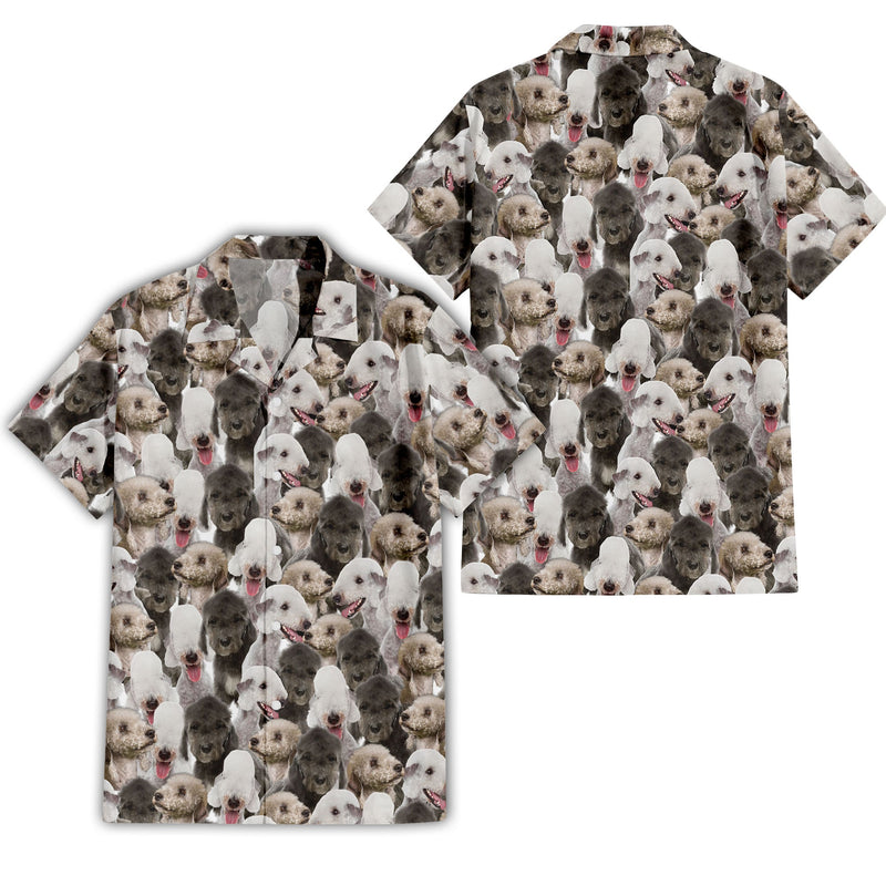 Bedlington Terrier Full Face Hawaiian Shirt & Short