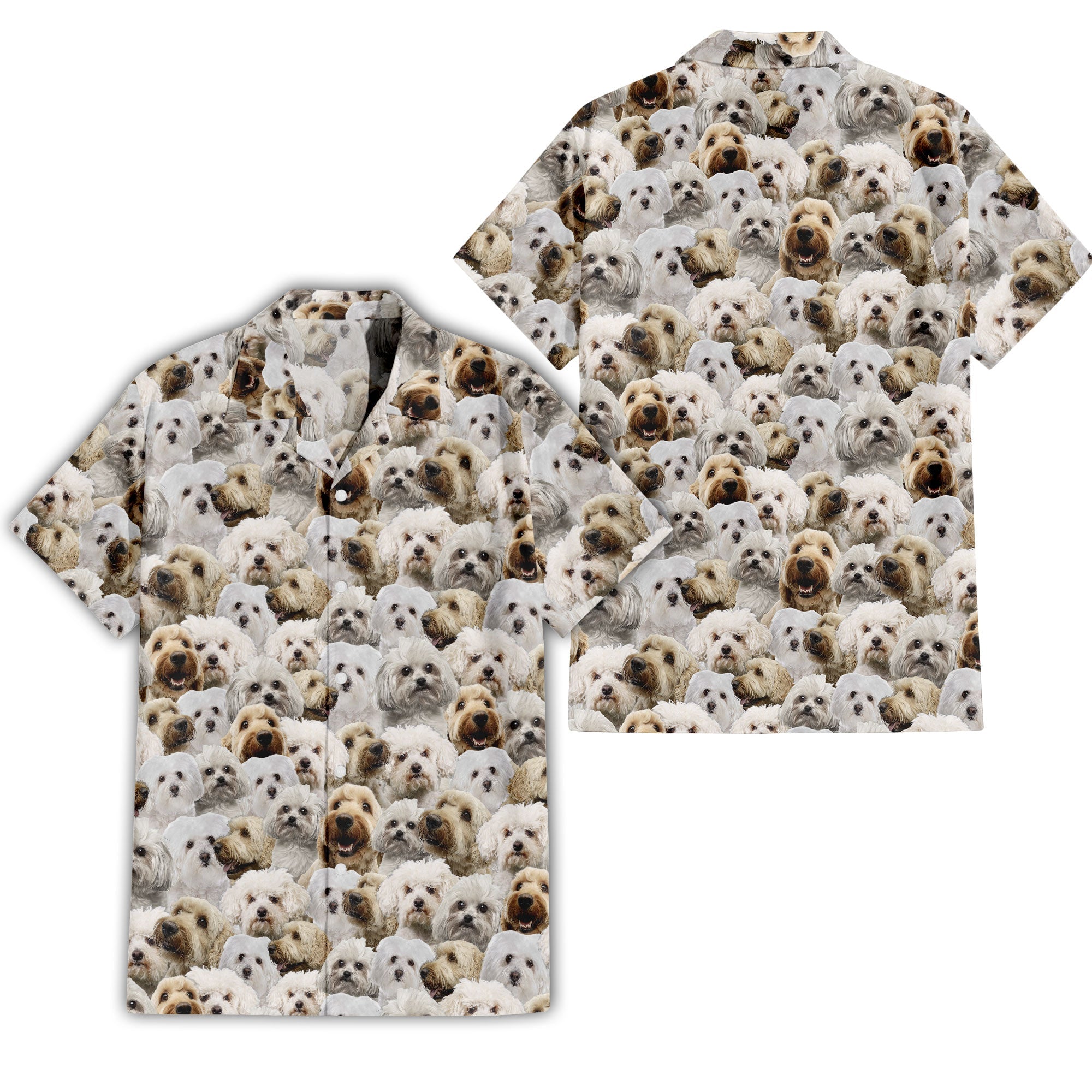 Bolognese Dog Full Face Hawaiian Shirt & Short