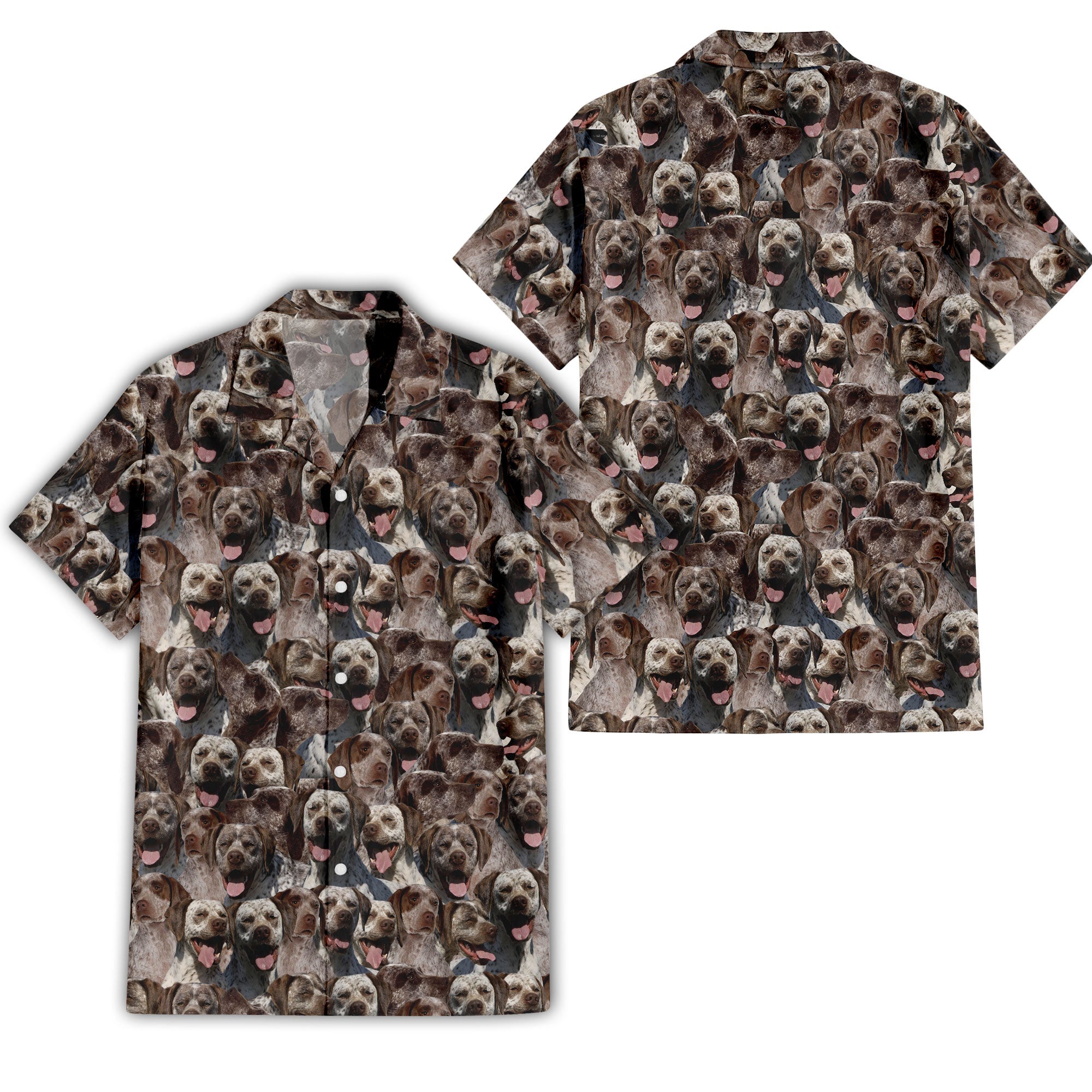 Braque Du Bourbonnais Full Face Hawaiian Shirt & Short