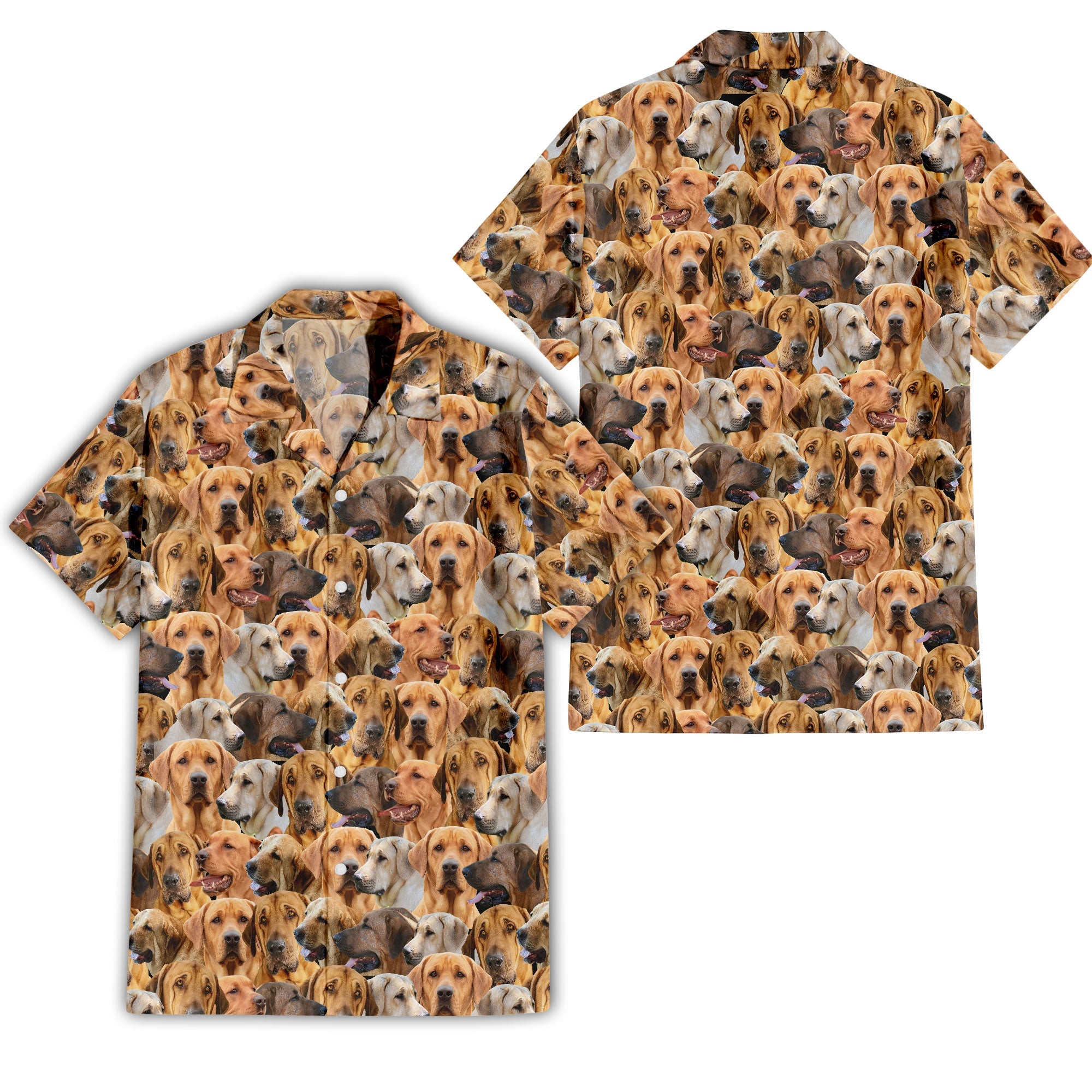 Broholmer Full Face Hawaiian Shirt & Short