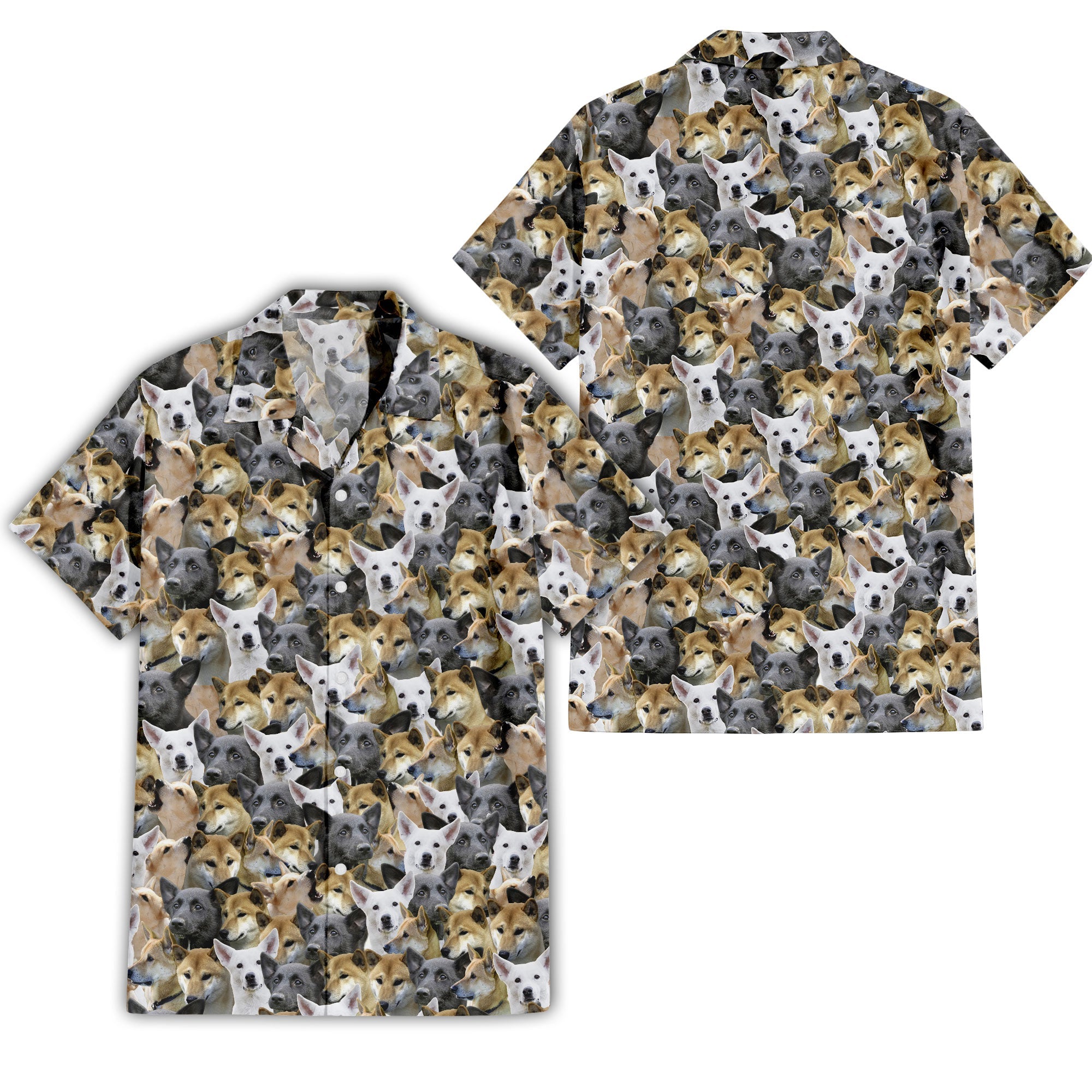 Canaan Dog Full Face Hawaiian Shirt & Short