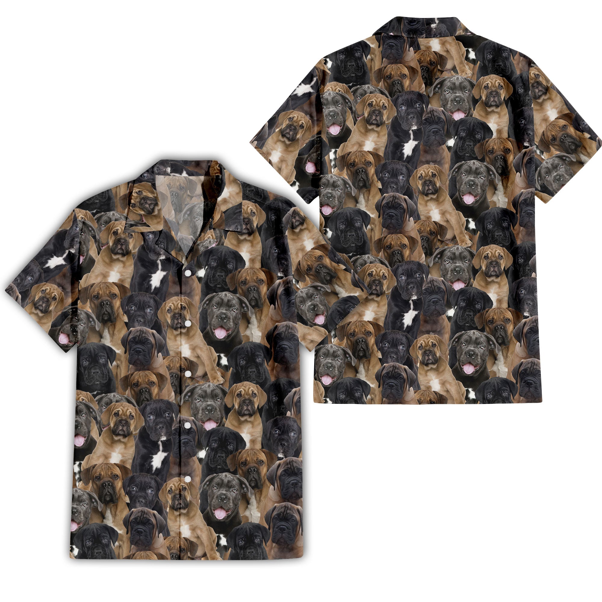 Cane Corso Dog Full Face Hawaiian Shirt & Short