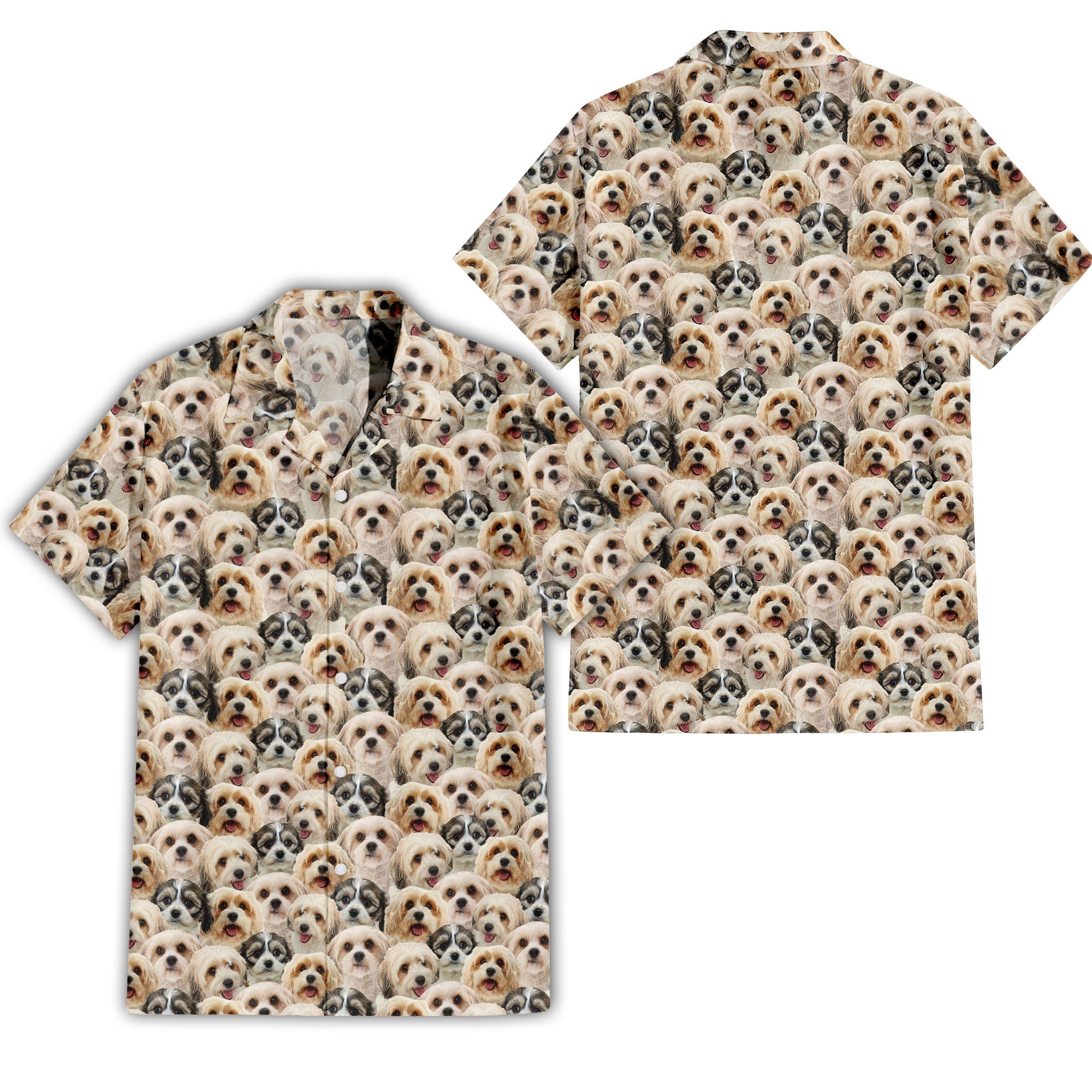 Cavachon Dog Full Face Hawaiian Shirt & Short