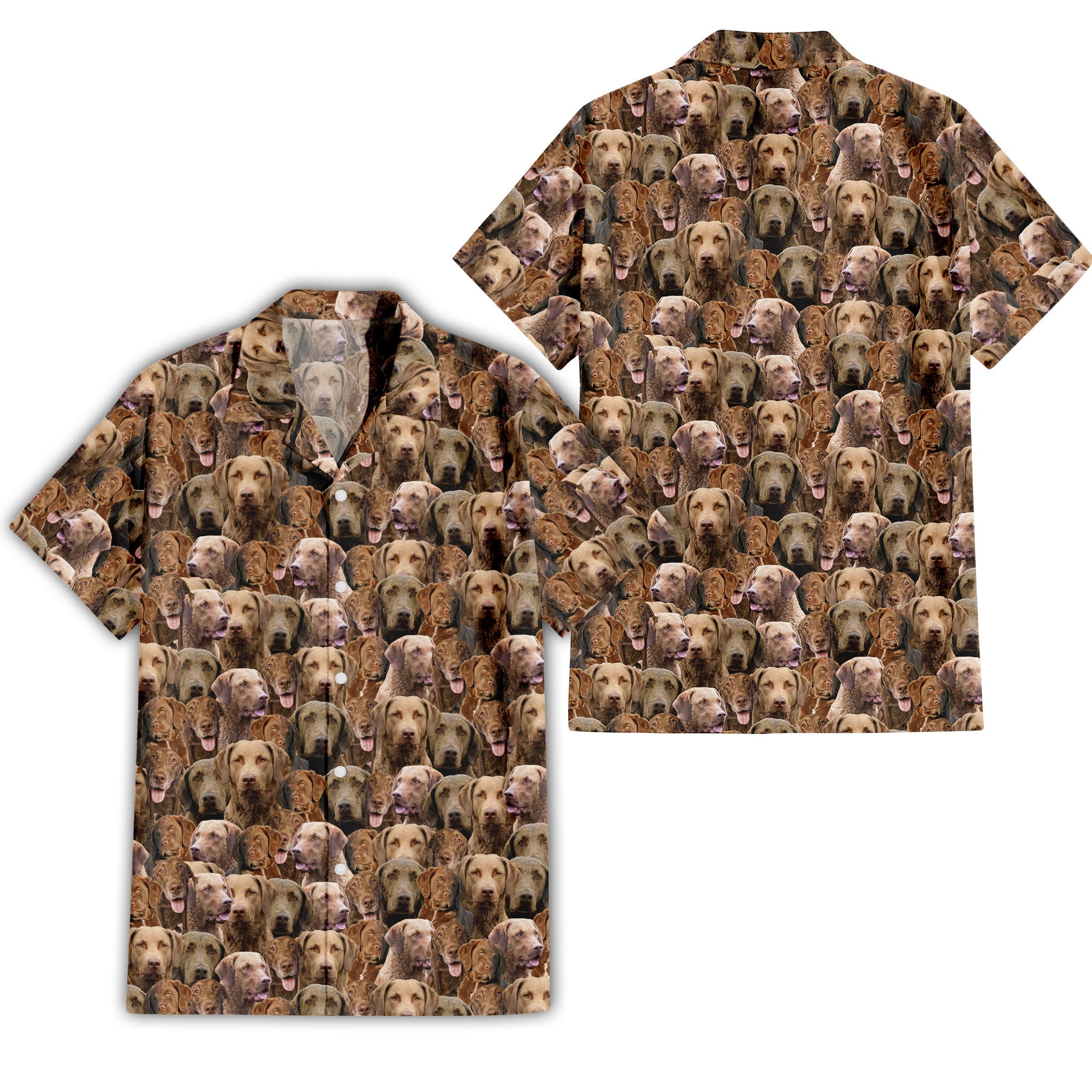 Chesapeake Bay Retriever Dog Full Face Hawaiian Shirt & Short