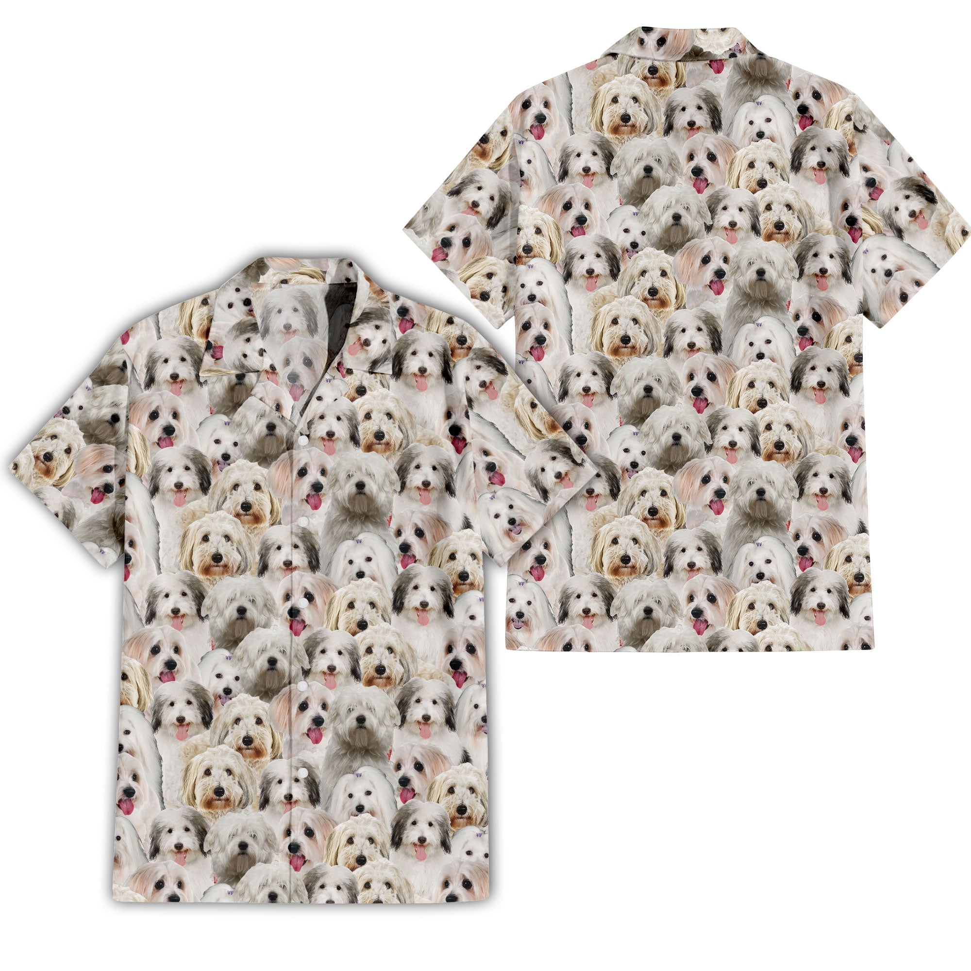 Coton De Tulear Full Face Hawaiian Shirt & Short