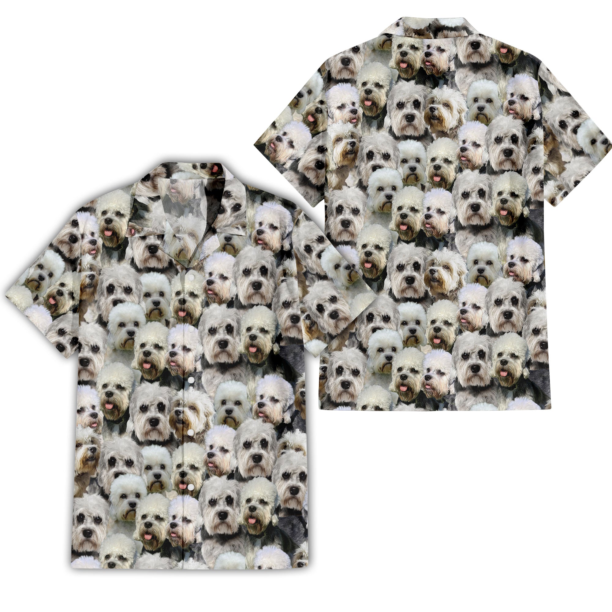 Dandie Dinmont Terrier Full Face Hawaiian Shirt & Short