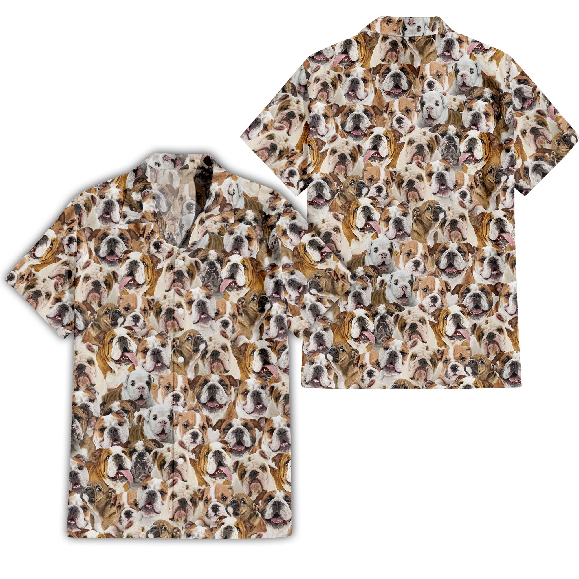 English Bulldog Full Face Hawaiian Shirt & Short