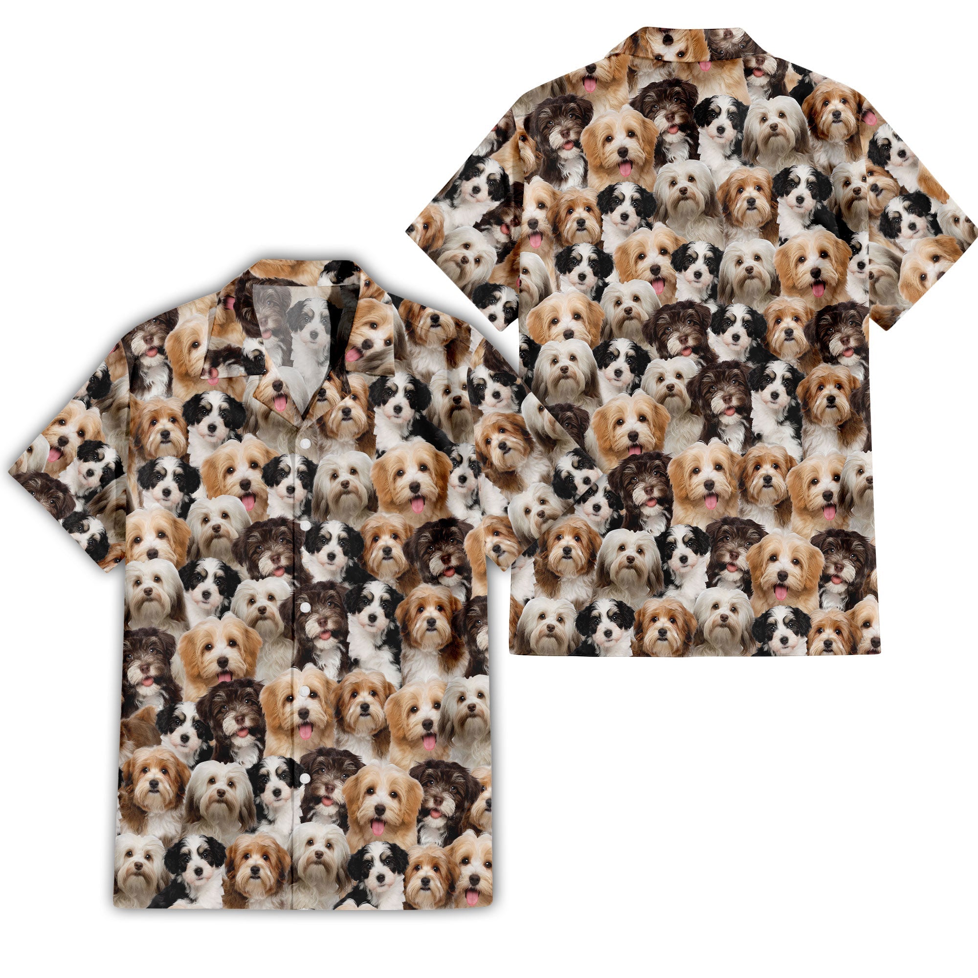 Havanese Full Face Hawaiian Shirt & Short