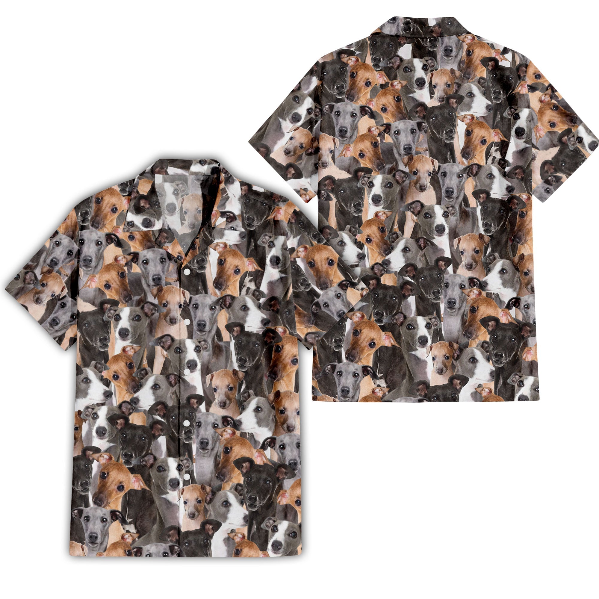 Italian Greyhound Full Face Hawaiian Shirt & Short