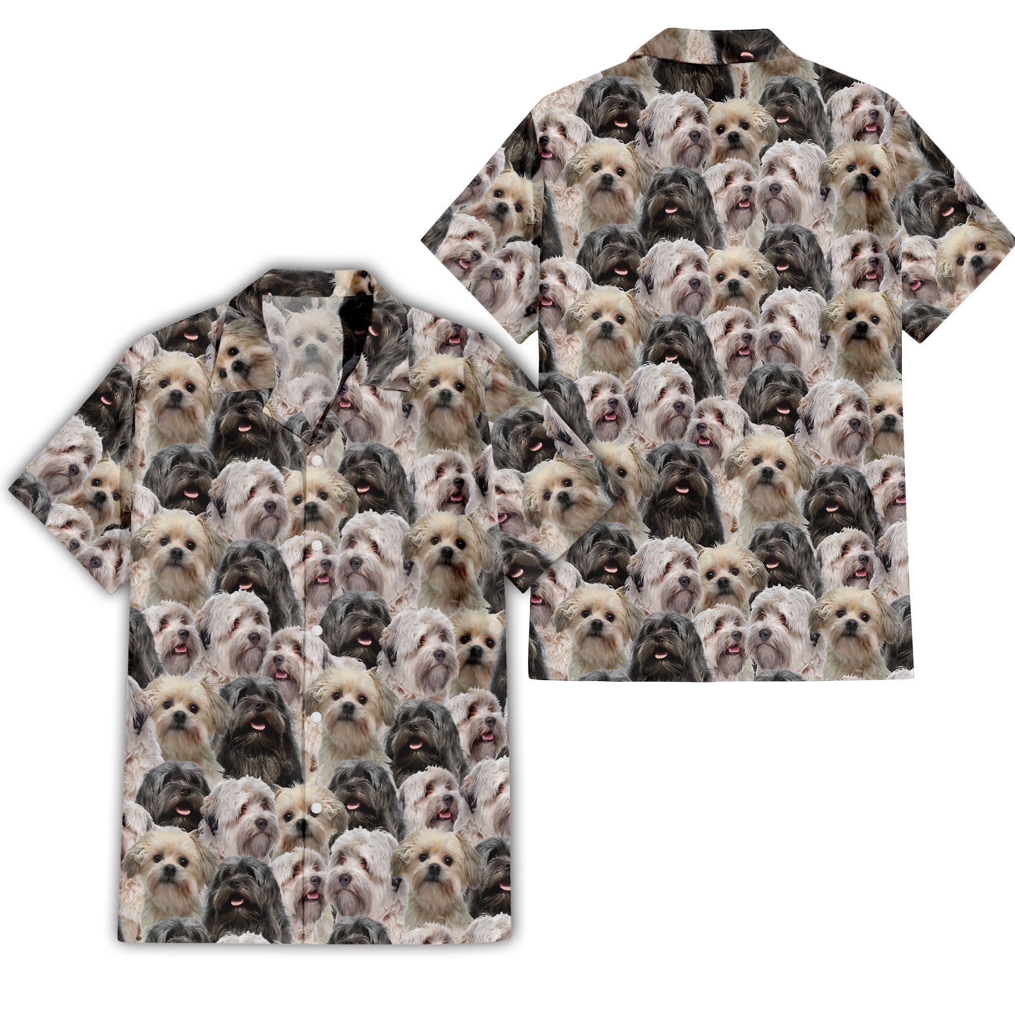 Lowchen Full Face Hawaiian Shirt & Short