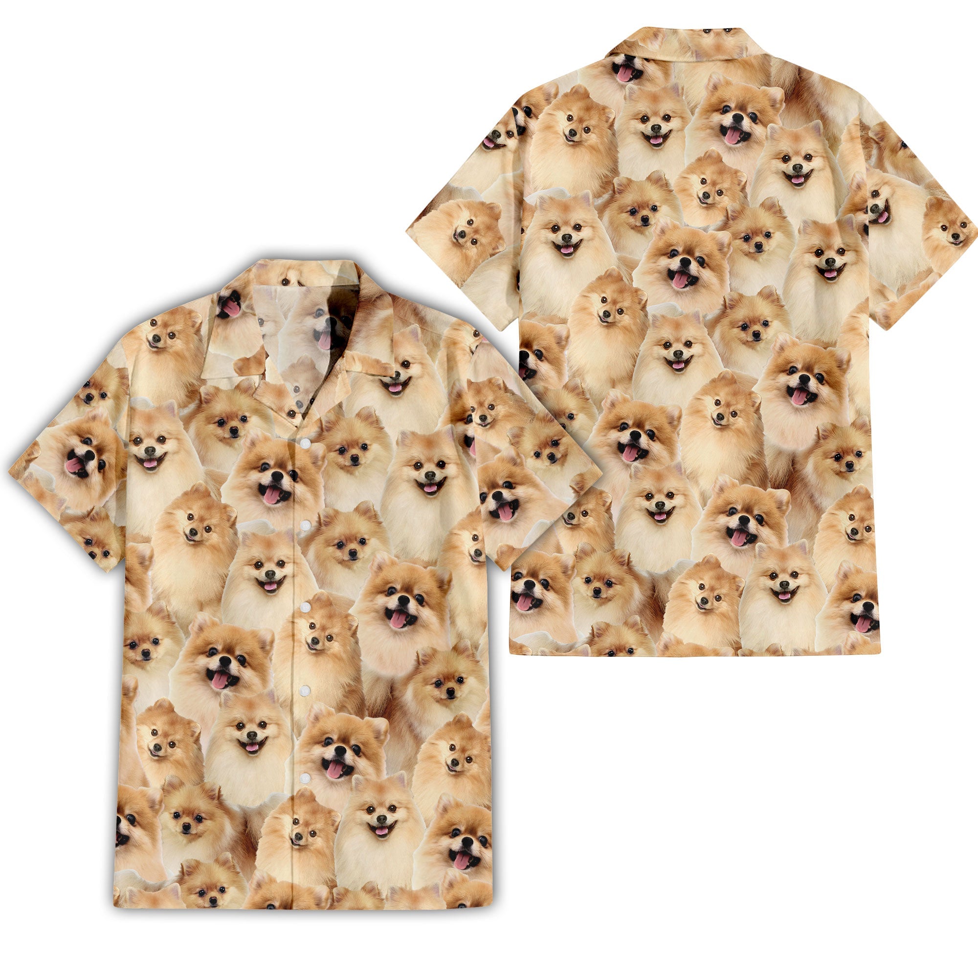 Pomeranian Full Face Hawaiian Shirt & Short