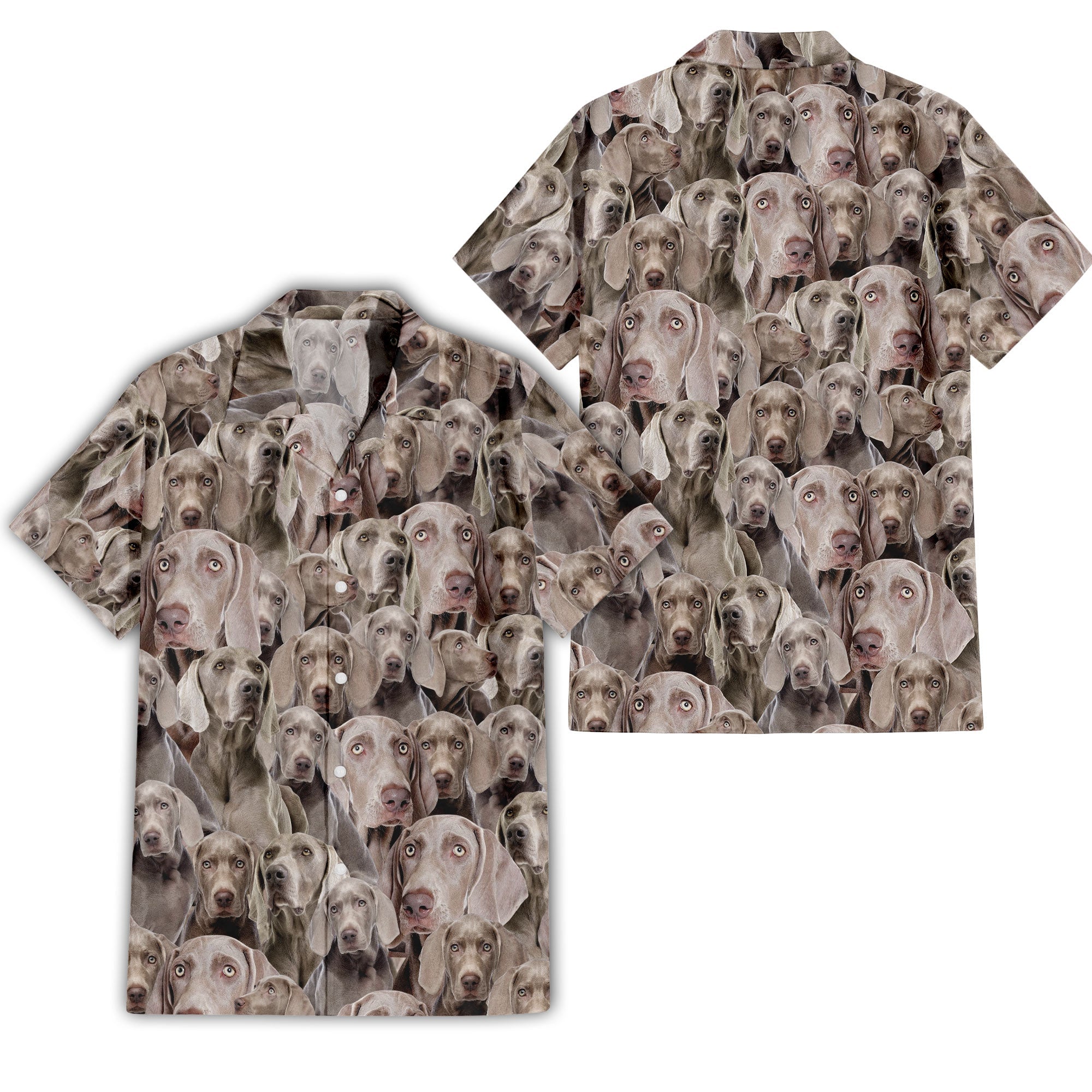 Weimaraner Full Face Hawaiian Shirt & Short