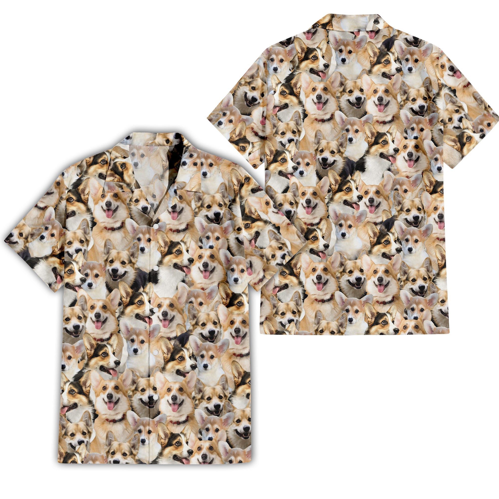 Welsh Corgi Full Face Hawaiian Shirt & Short