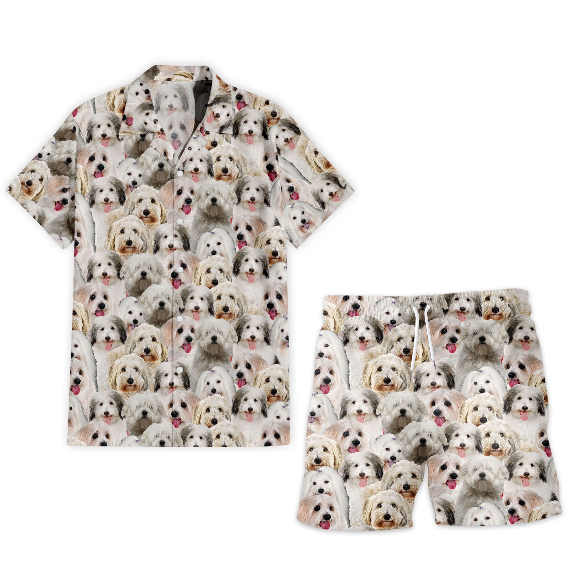 Coton De Tulear Full Face Hawaiian Shirt & Short