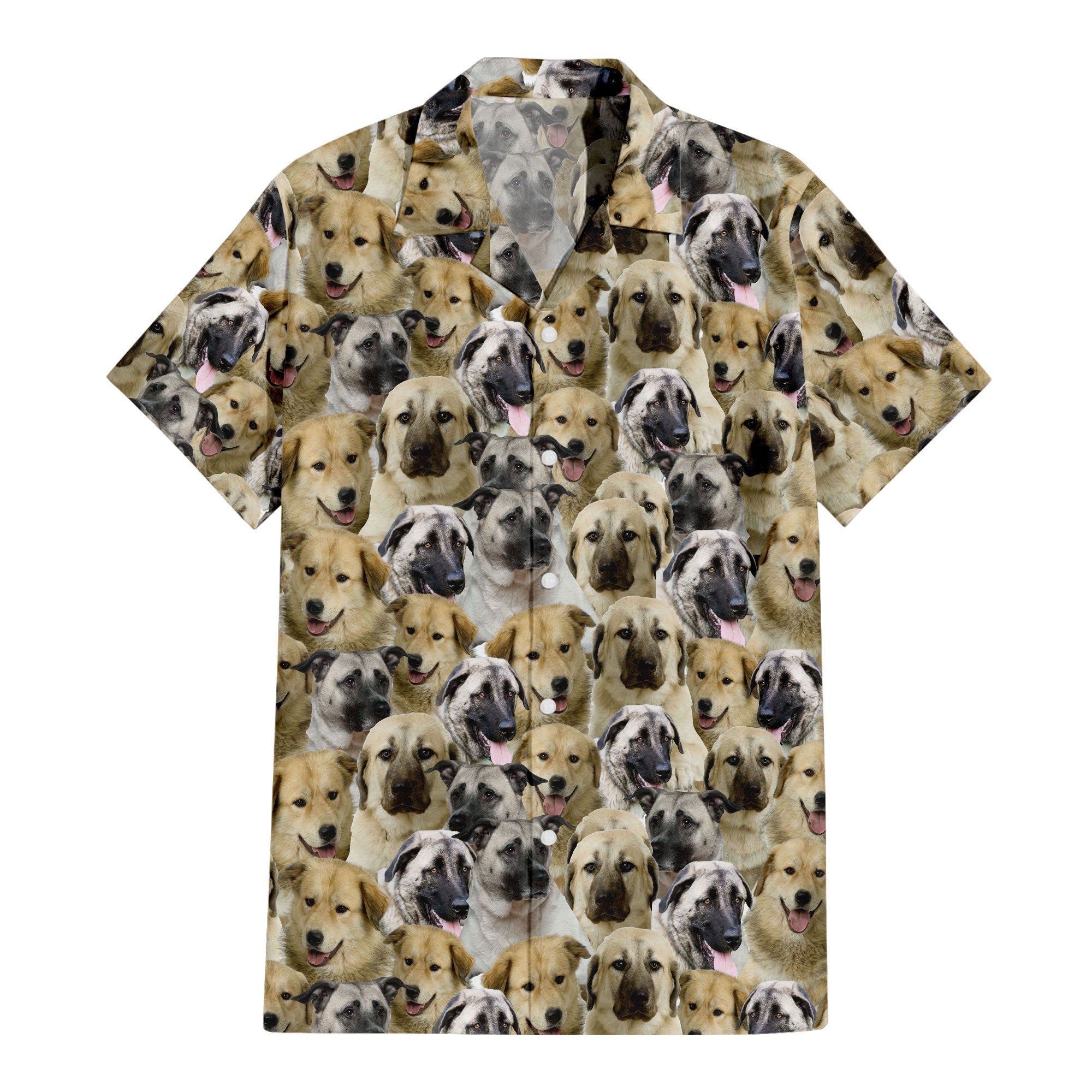 Anatolian Shepherd Full Face Hawaiian Shirt & Short