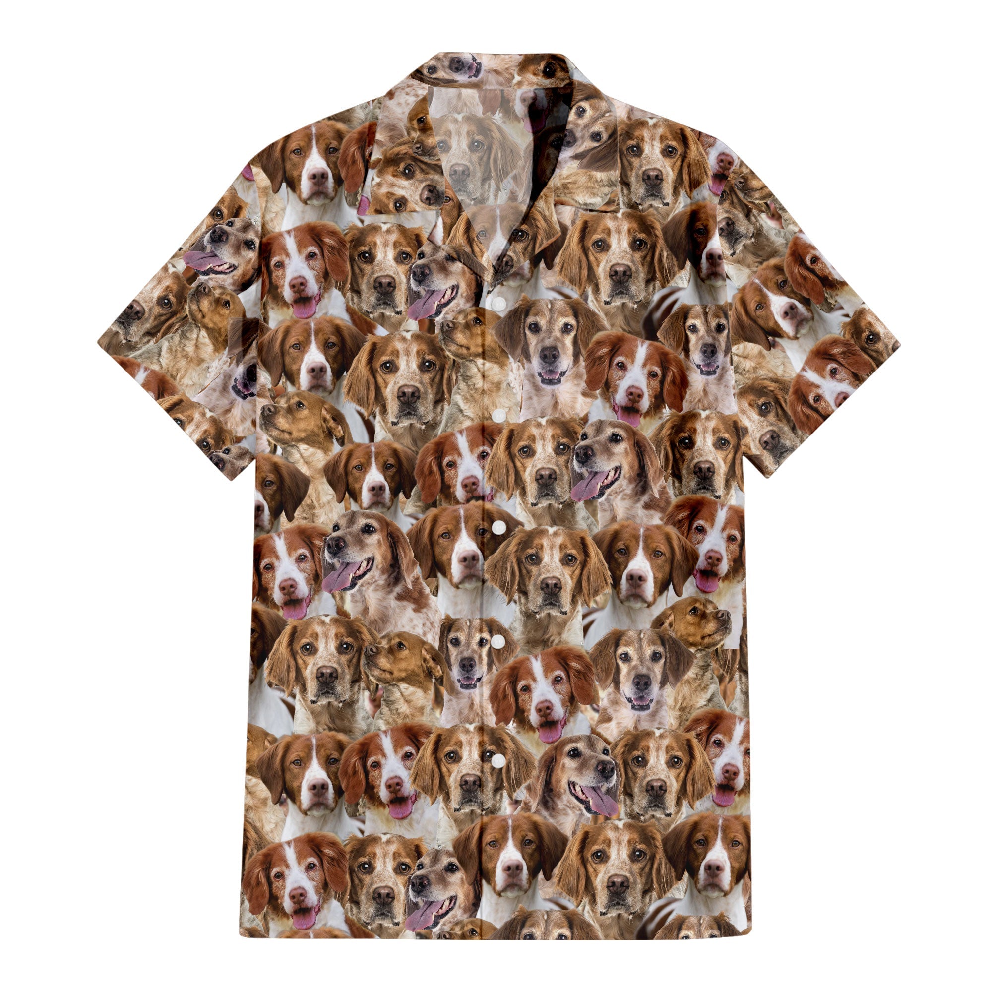 Brittany Full Face Hawaiian Shirt & Short