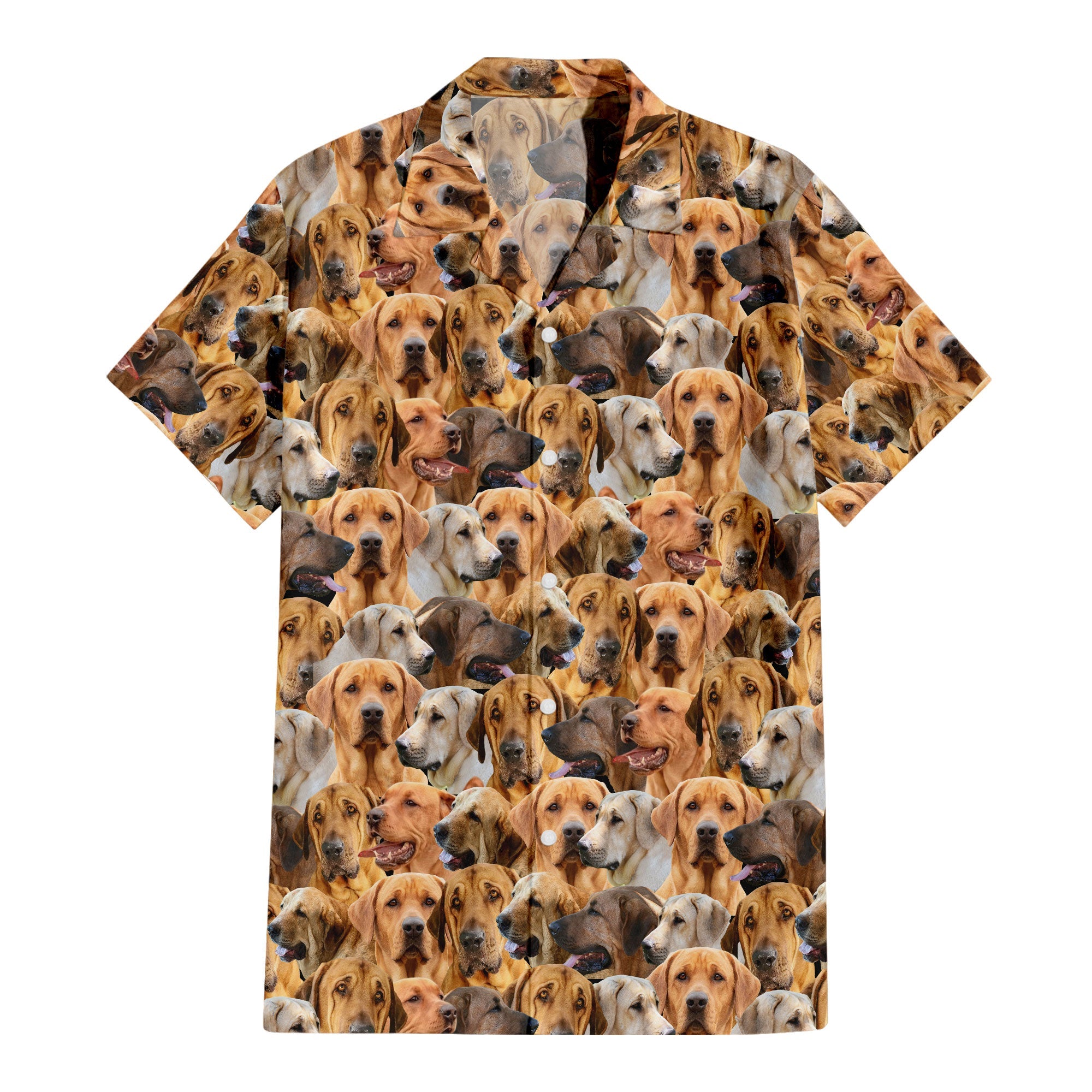 Broholmer Full Face Hawaiian Shirt & Short