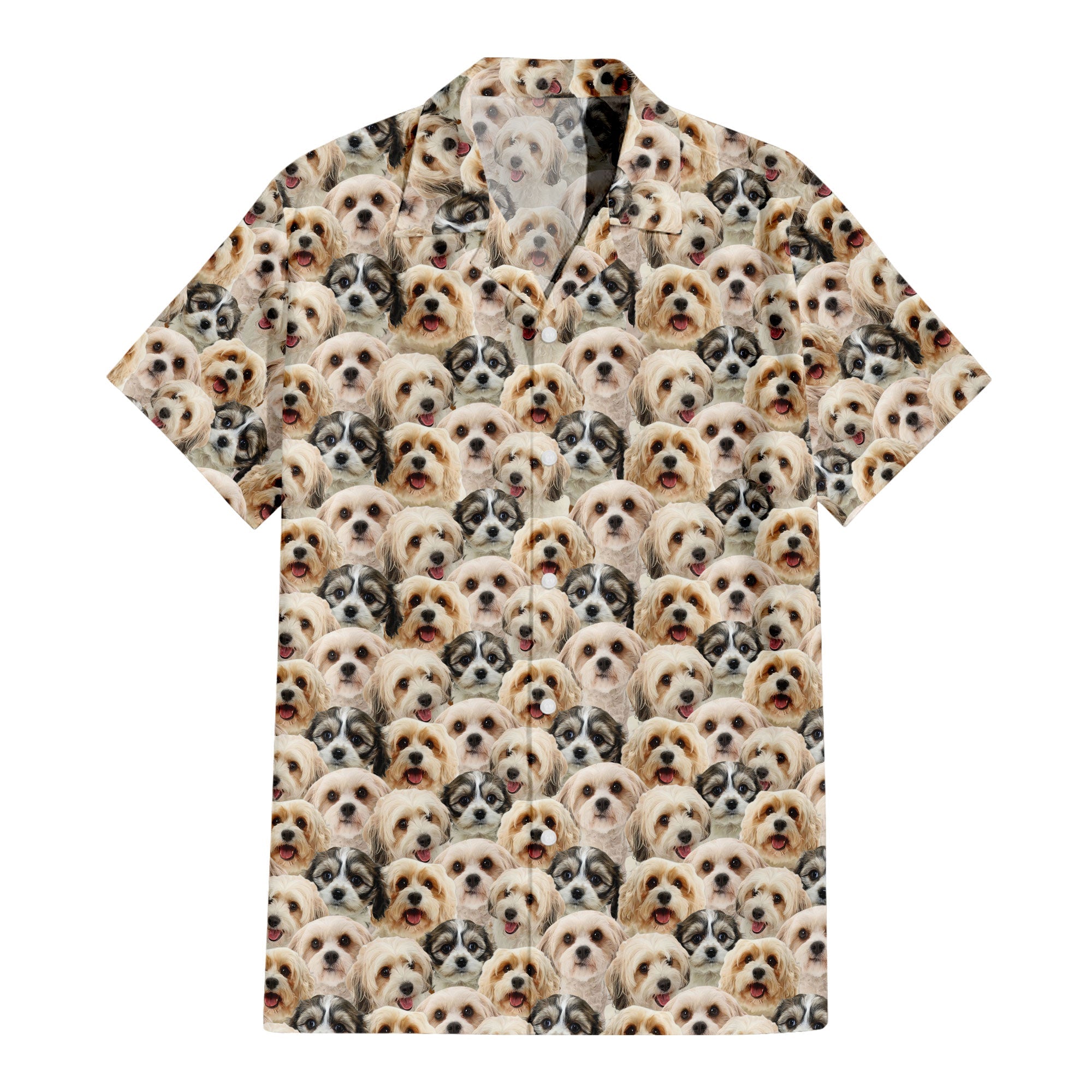 Cavachon Dog Full Face Hawaiian Shirt & Short